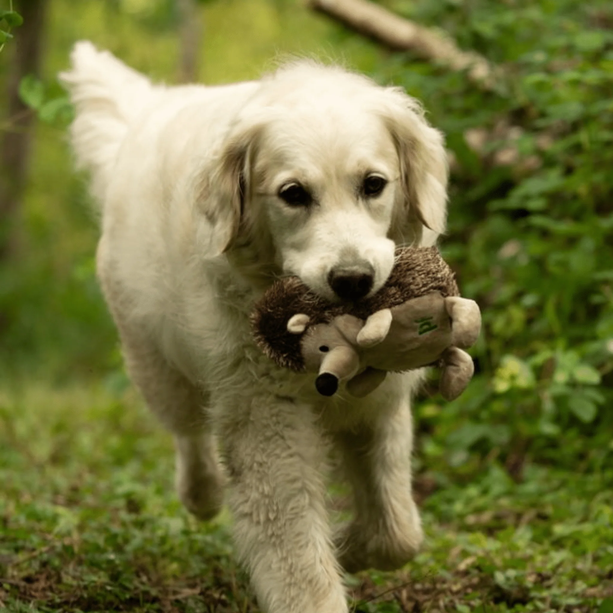 Petface Woodland Heston Hedgehog Dog Toy - Image 6