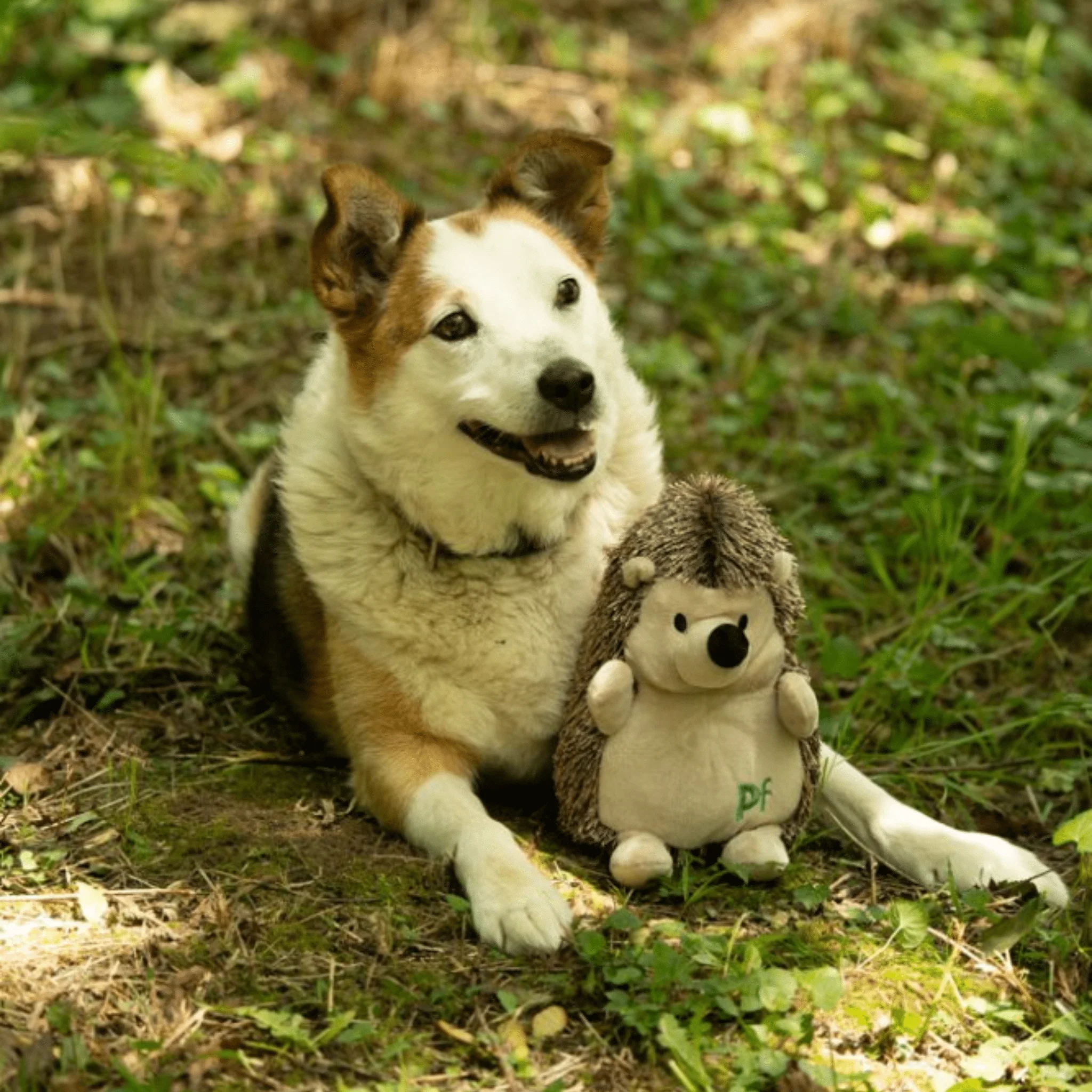 Petface Woodland Heston Hedgehog Dog Toy - Image 7
