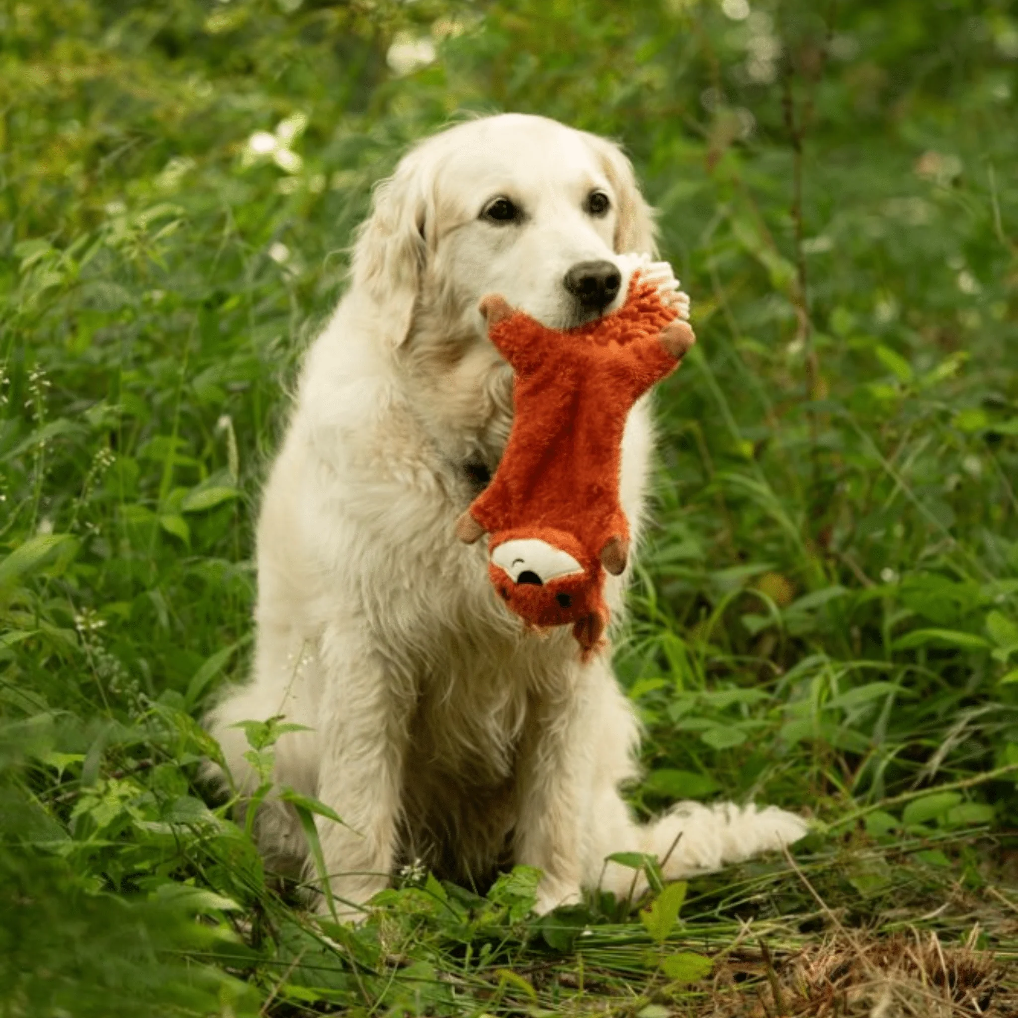 Petface Woodland Saffia Squirrel Dog Toy - Image 6
