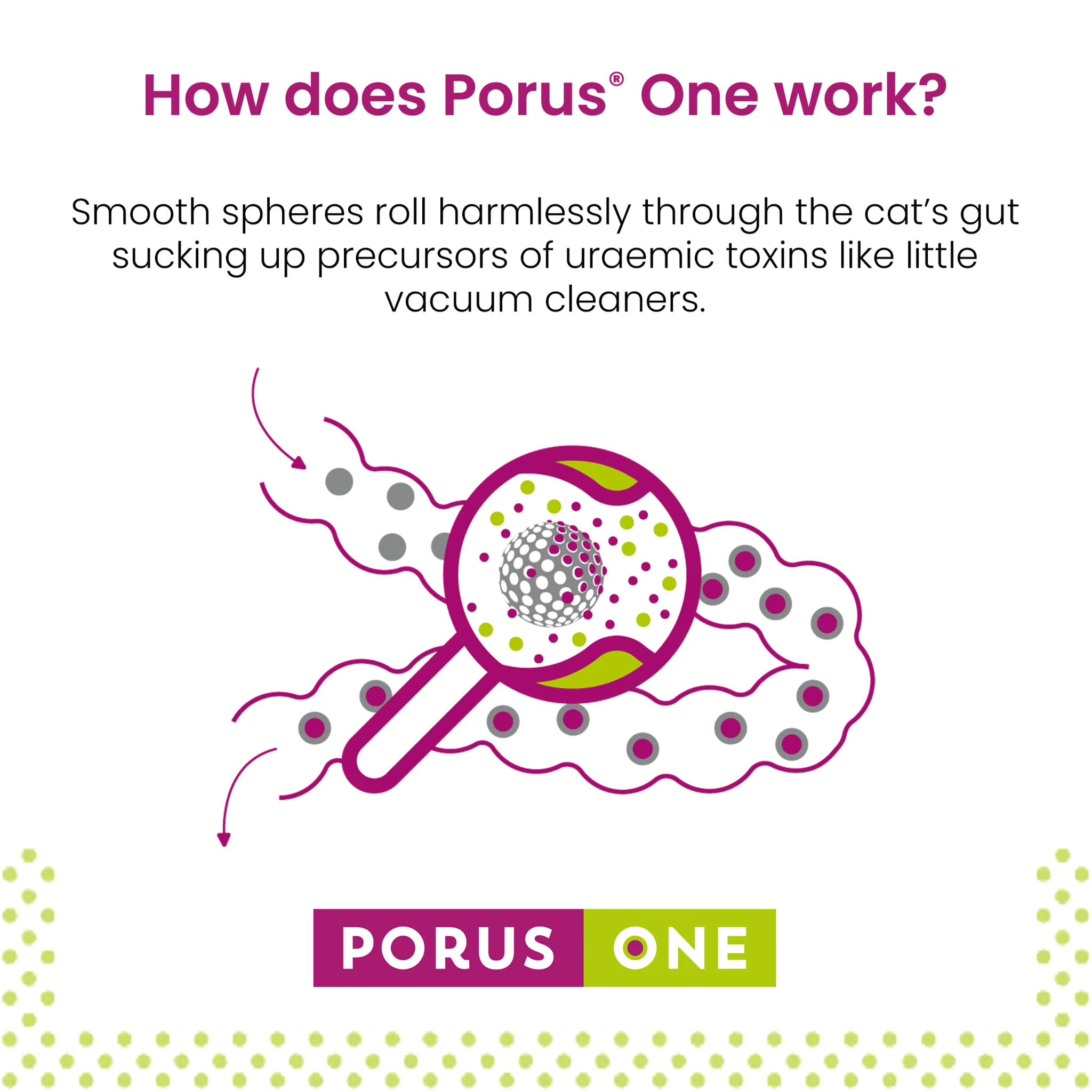 Porus One kIdney support for cats (500mg Sachet x 30) - Image 4