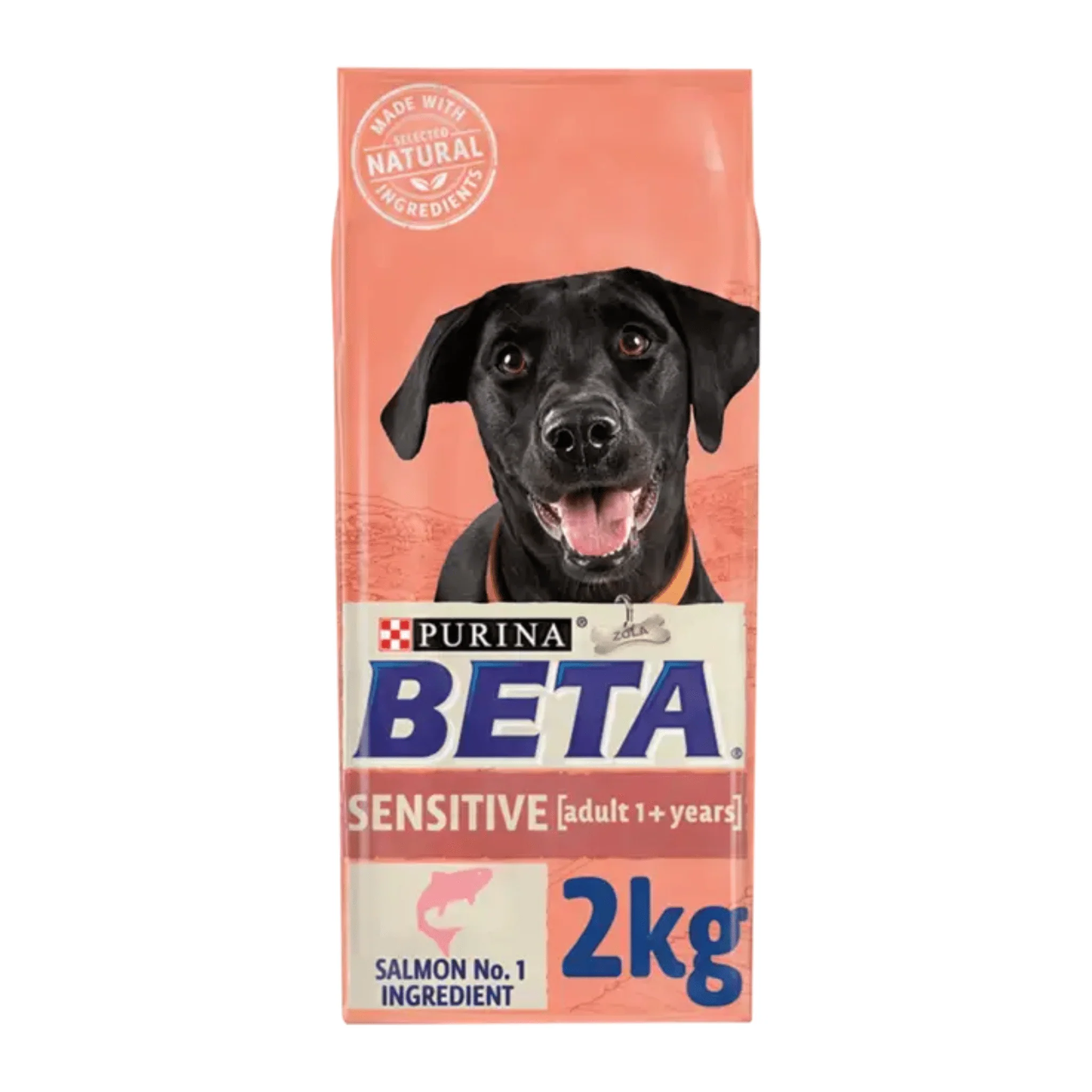 Purina Beta Sensitive Adult Dog Salmon Dry Food
