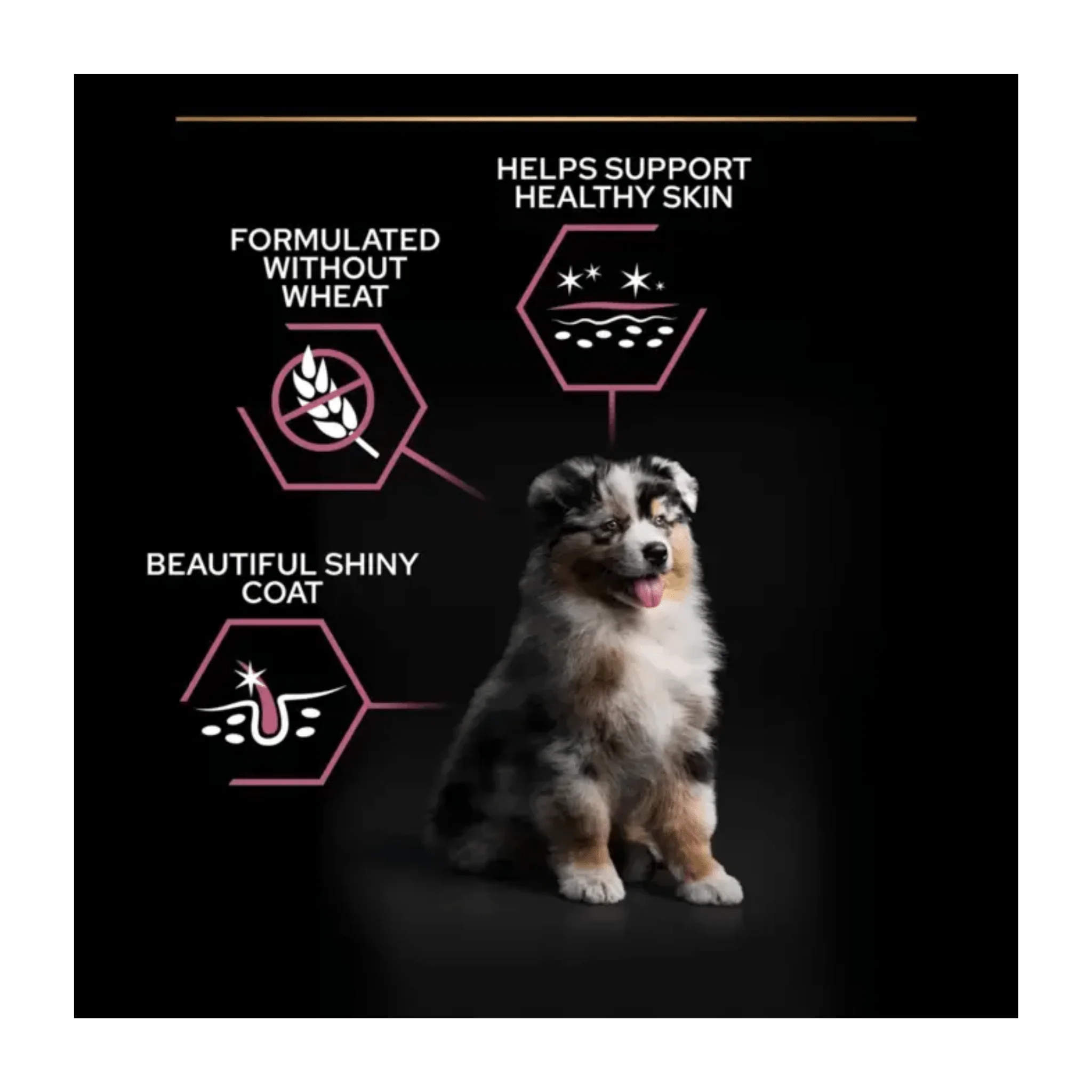 Purina Pro Plan® Medium Puppy Sensitive Skin Dry Dog Food (Salmon) - Image 2