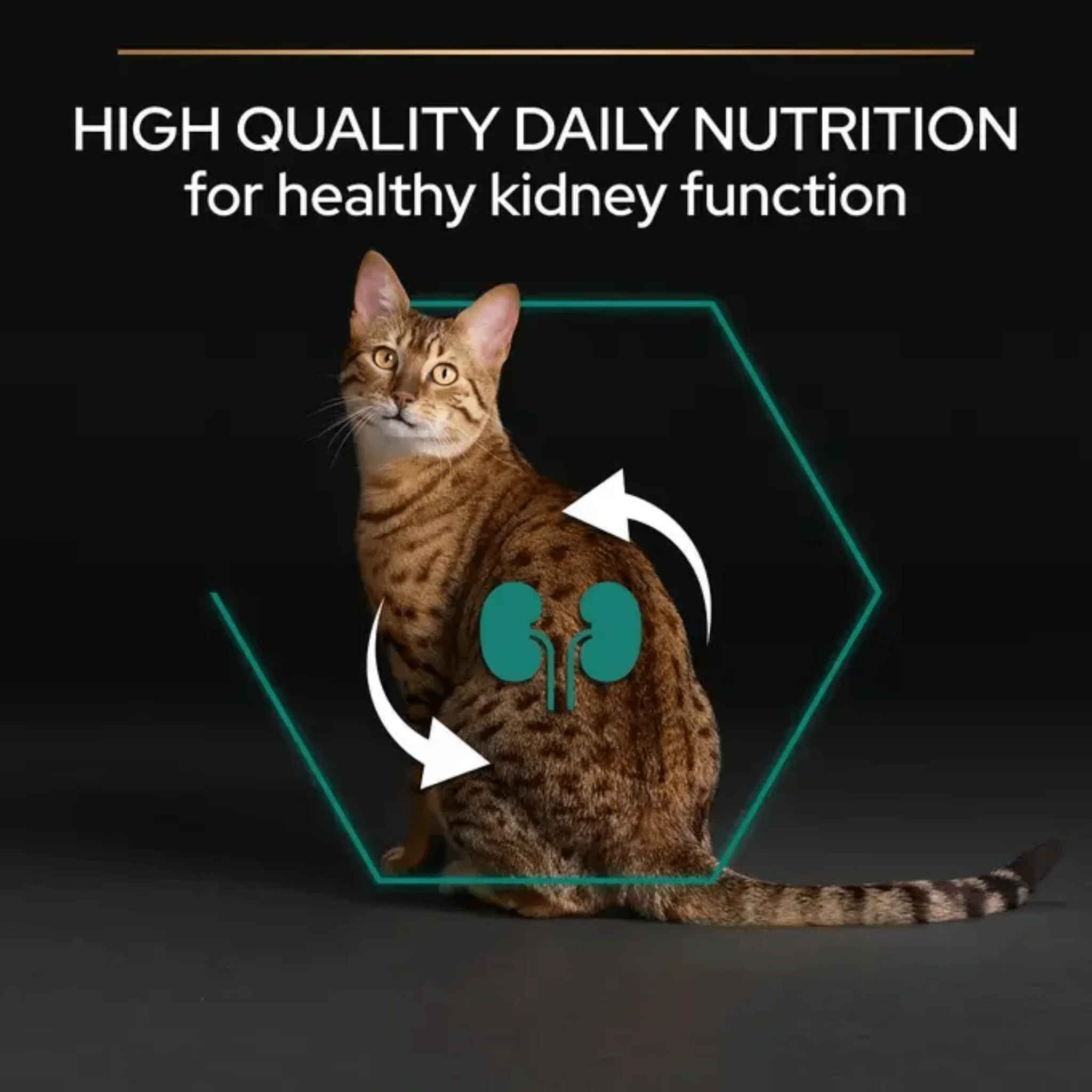 Purina Pro Plan Urinary Adult Dry Chicken Cat Food - Image 3