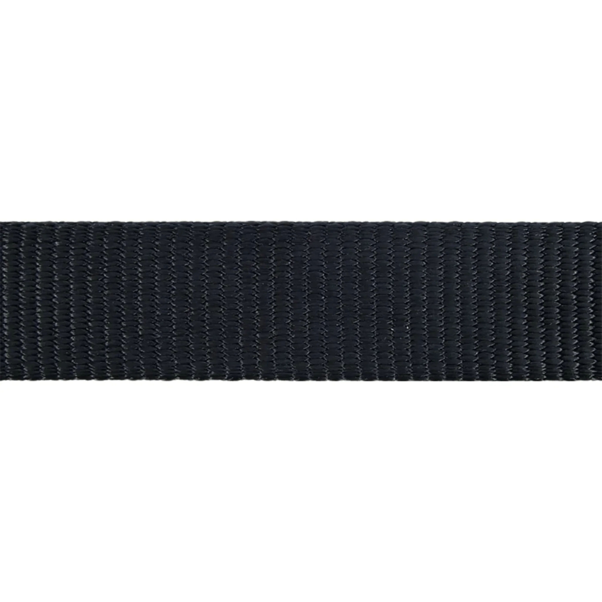 Red Dingo Classic Black Dog Collar - Image 3