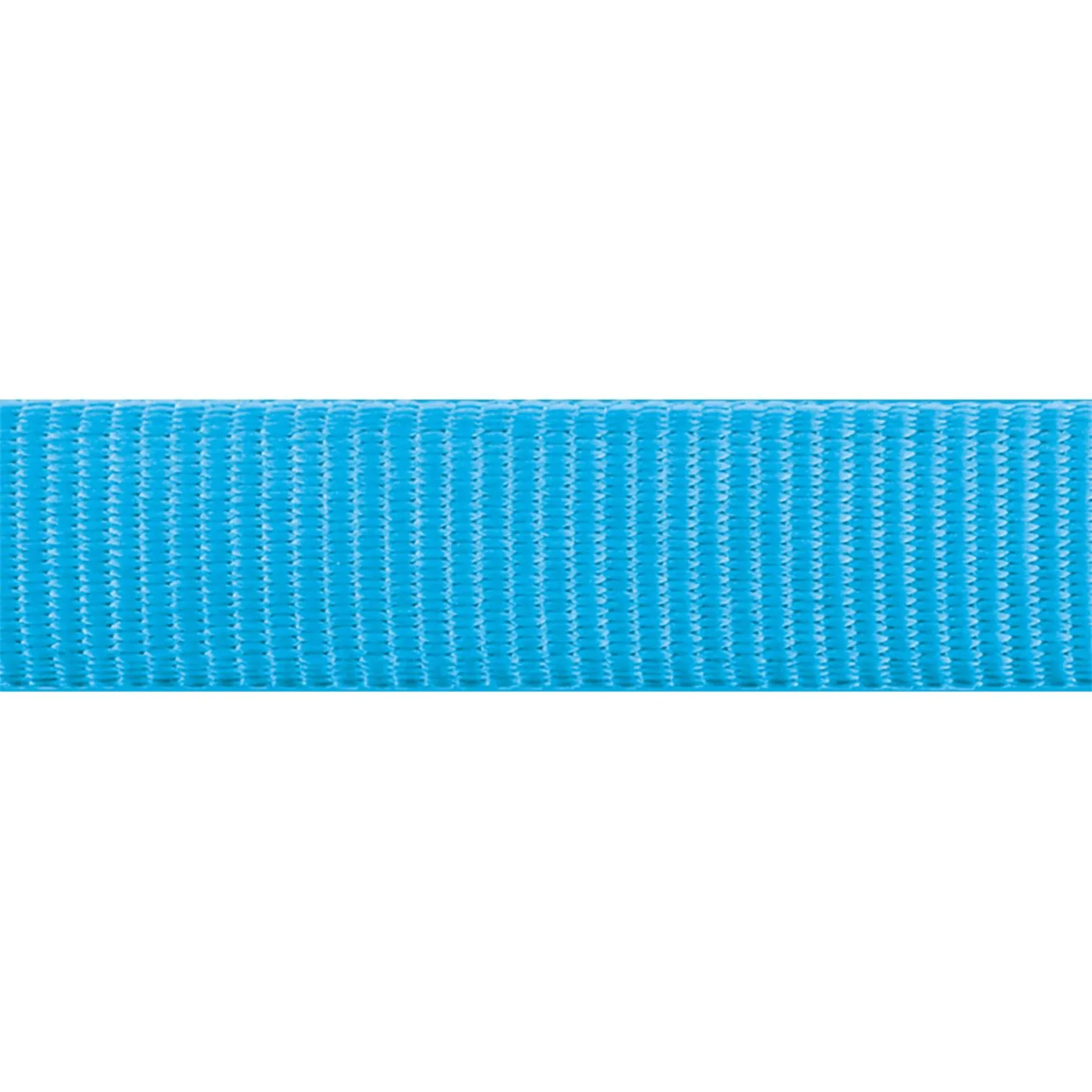 Red Dingo Classic Turquoise Dog Collar - Image 3