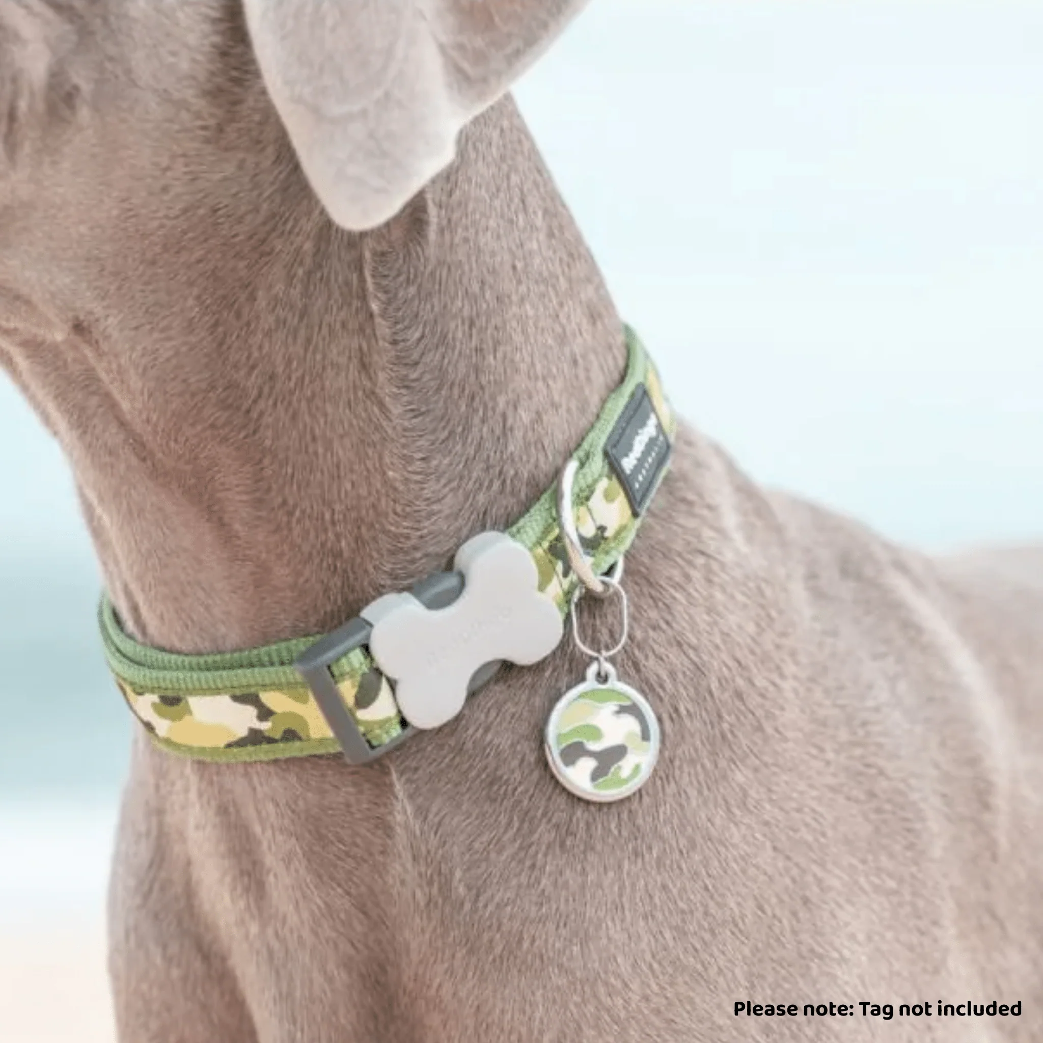 Red Dingo Dog Collar Camouflage Green - Image 3
