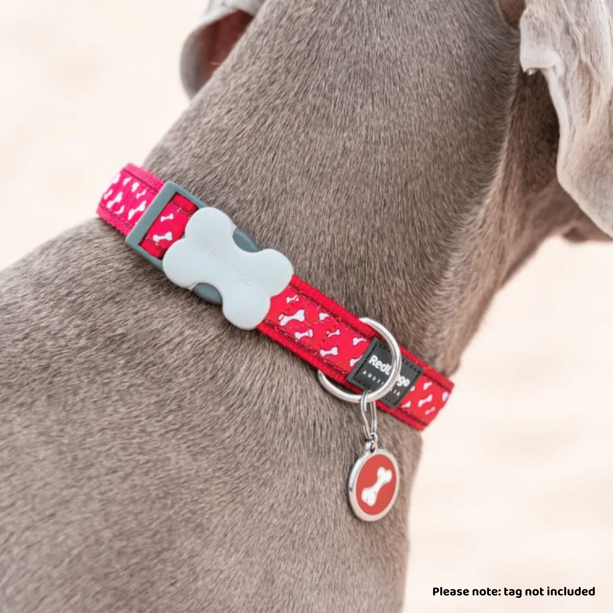 Red Dingo Dog Collar Flying Bones Red - Image 4