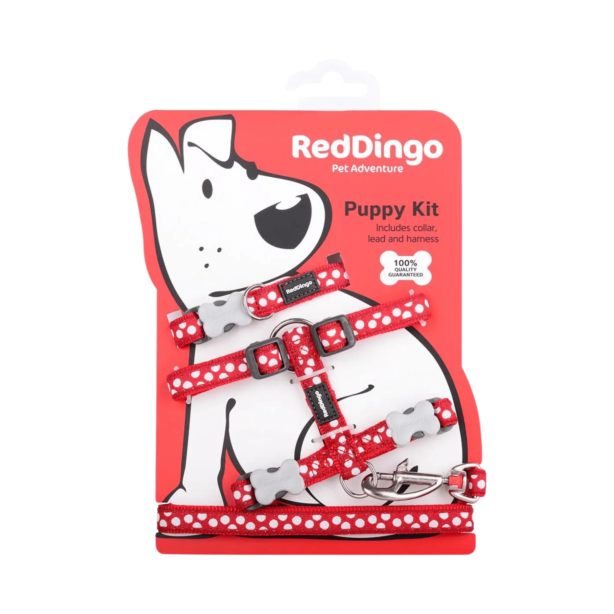 Red Dingo Puppy Kit White Spots on Red