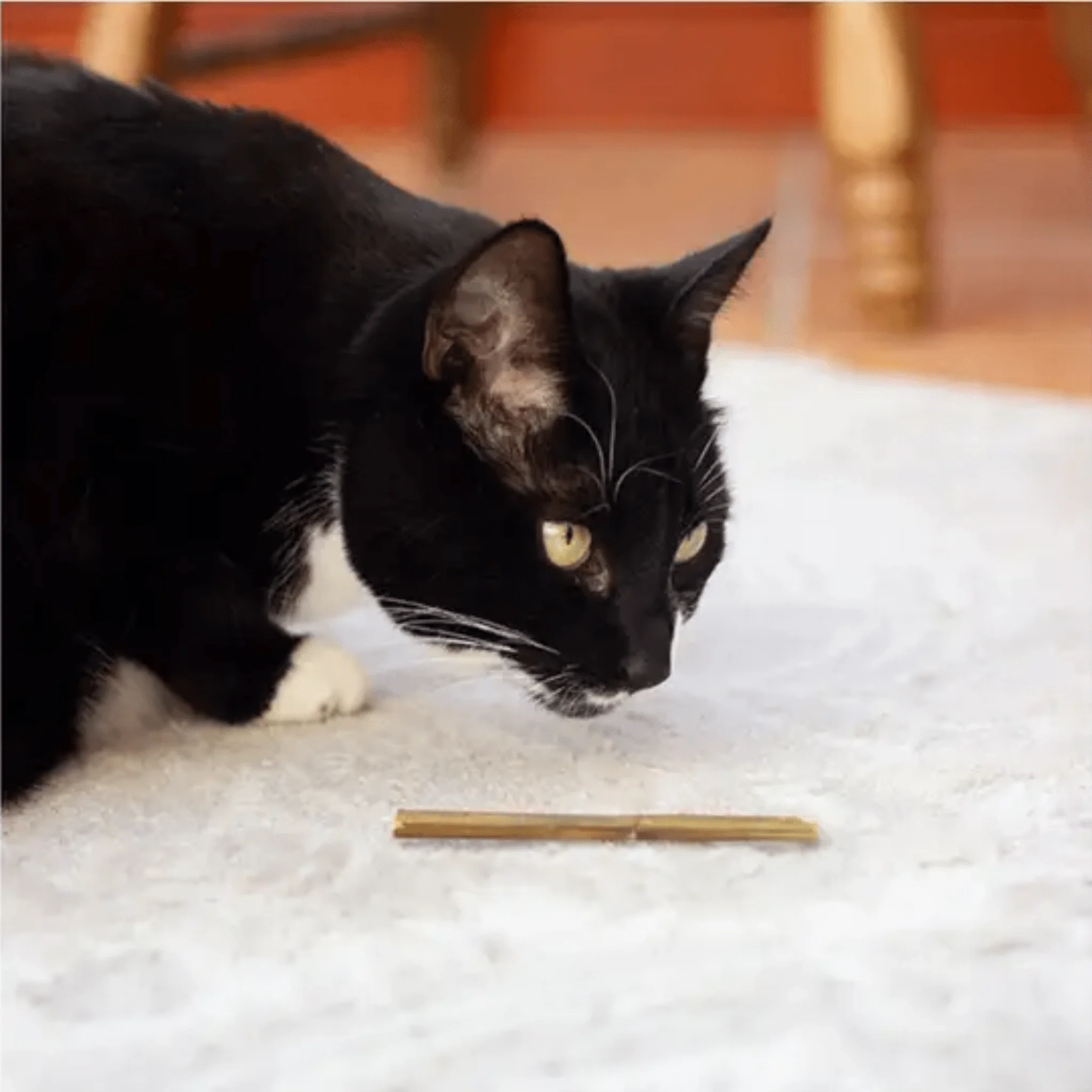 Rosewood Naturals Catnip Sticks - Image 3