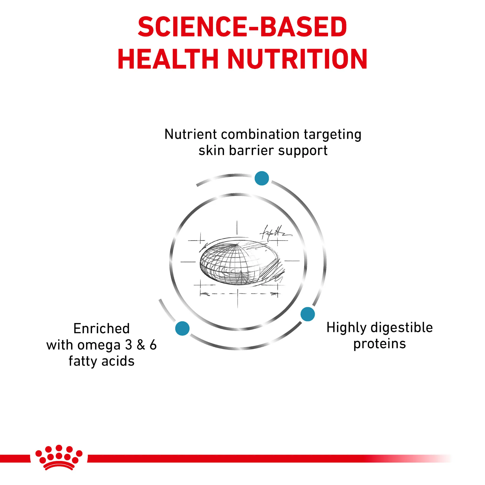 ROYAL CANIN® Canine Skin Care Adult Dry Food - Image 4