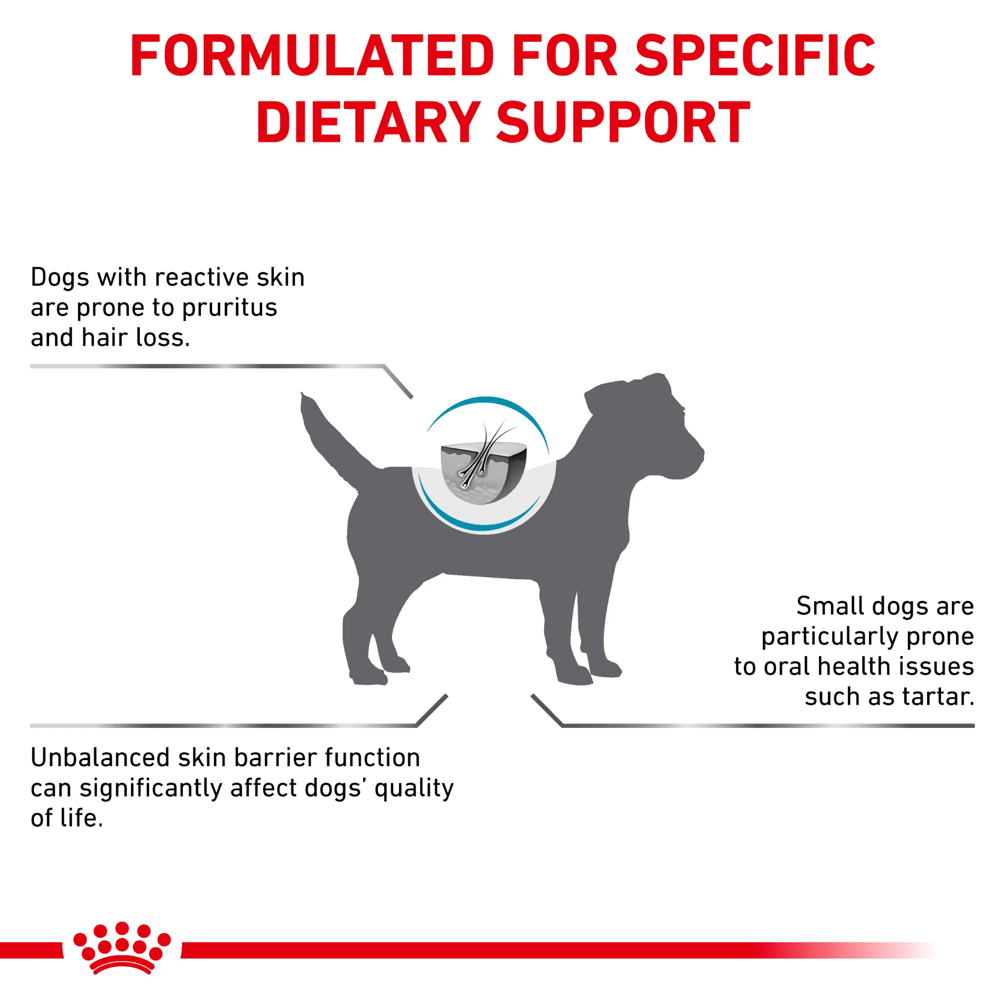 ROYAL CANIN® Canine Skin Care Small Dog Adult Dry Food - Image 4