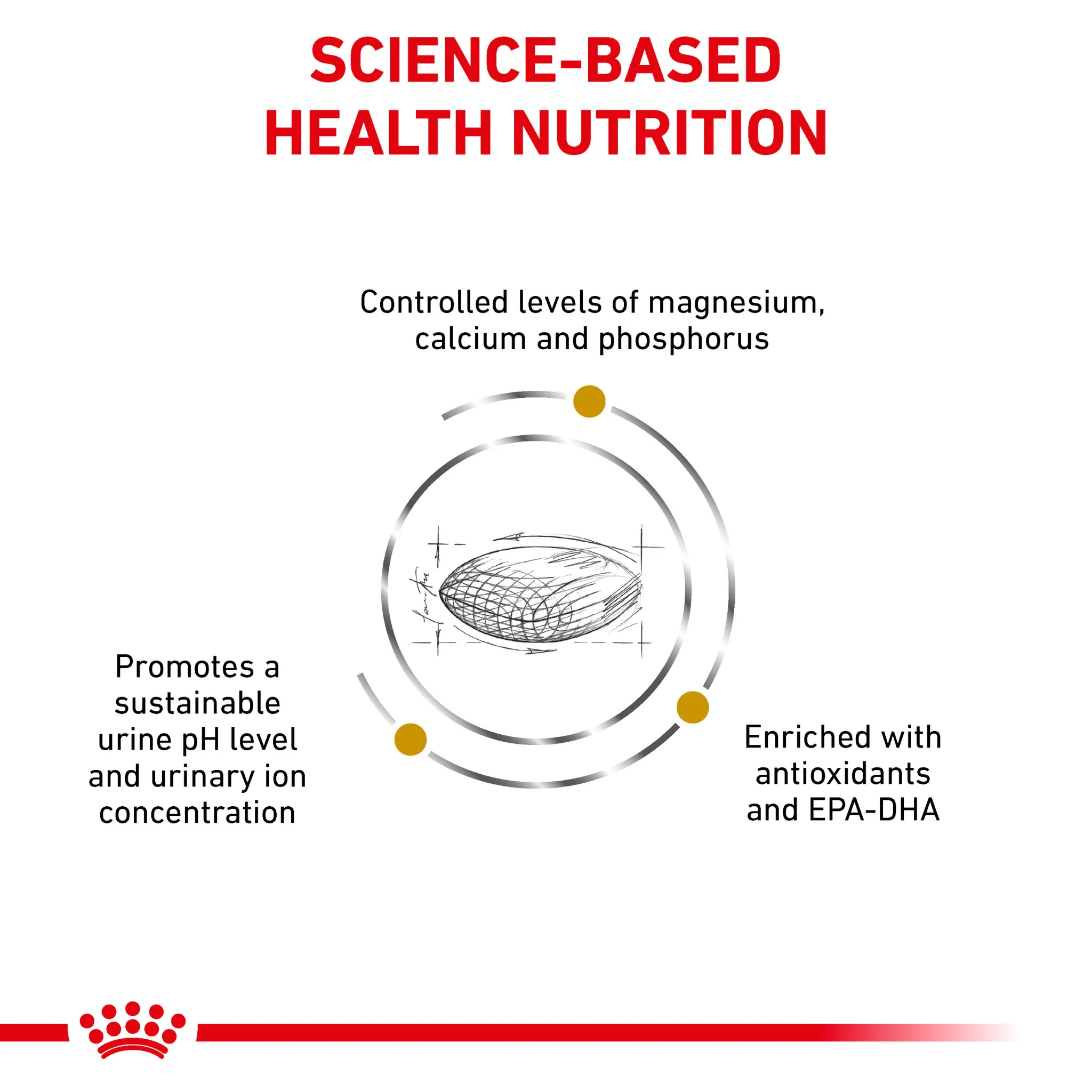 ROYAL CANIN® Canine Urinary S/O Adult Dry Dog Food - Image 3