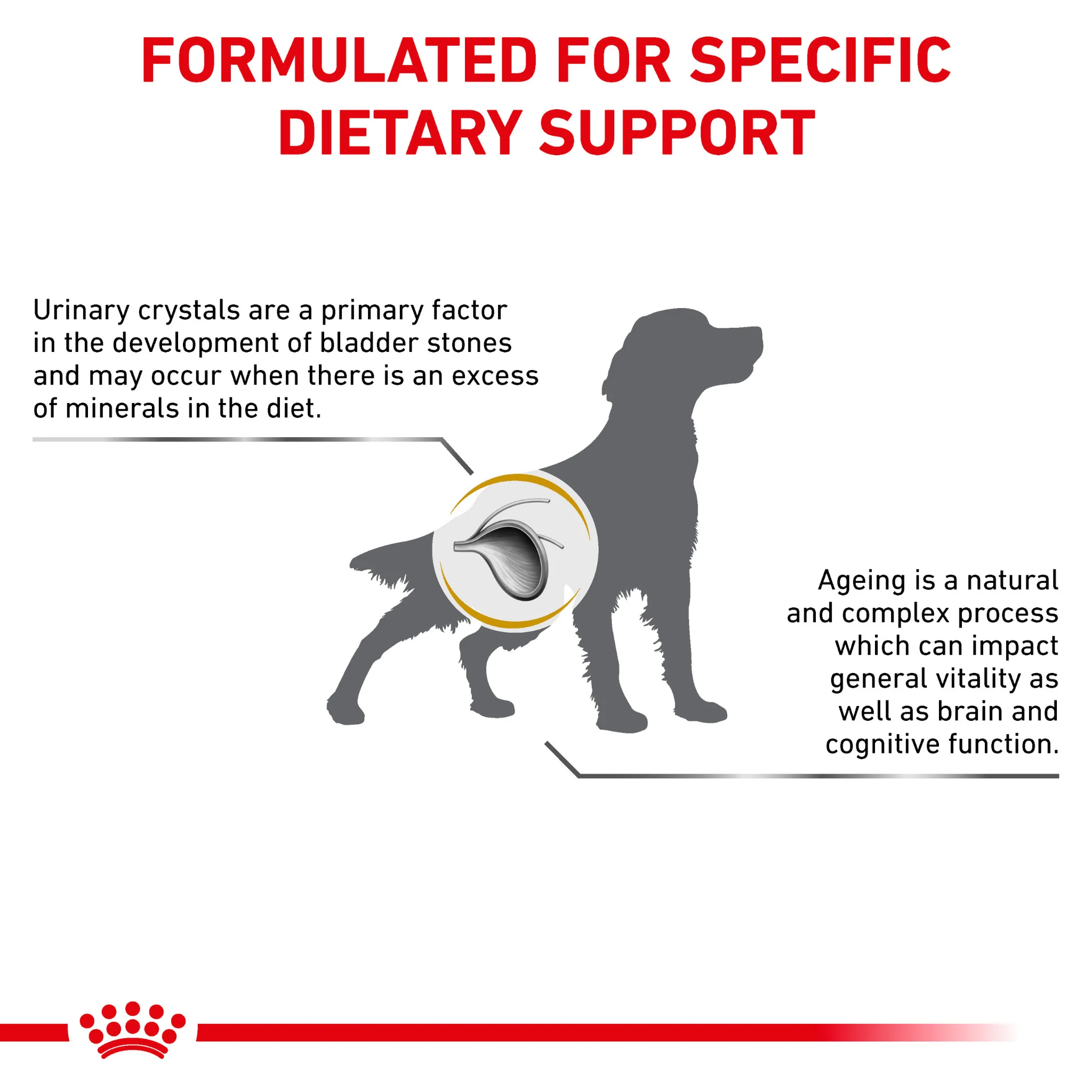 ROYAL CANIN® Canine Urinary S/O Ageing 7+ Dry Dog Food - Image 3