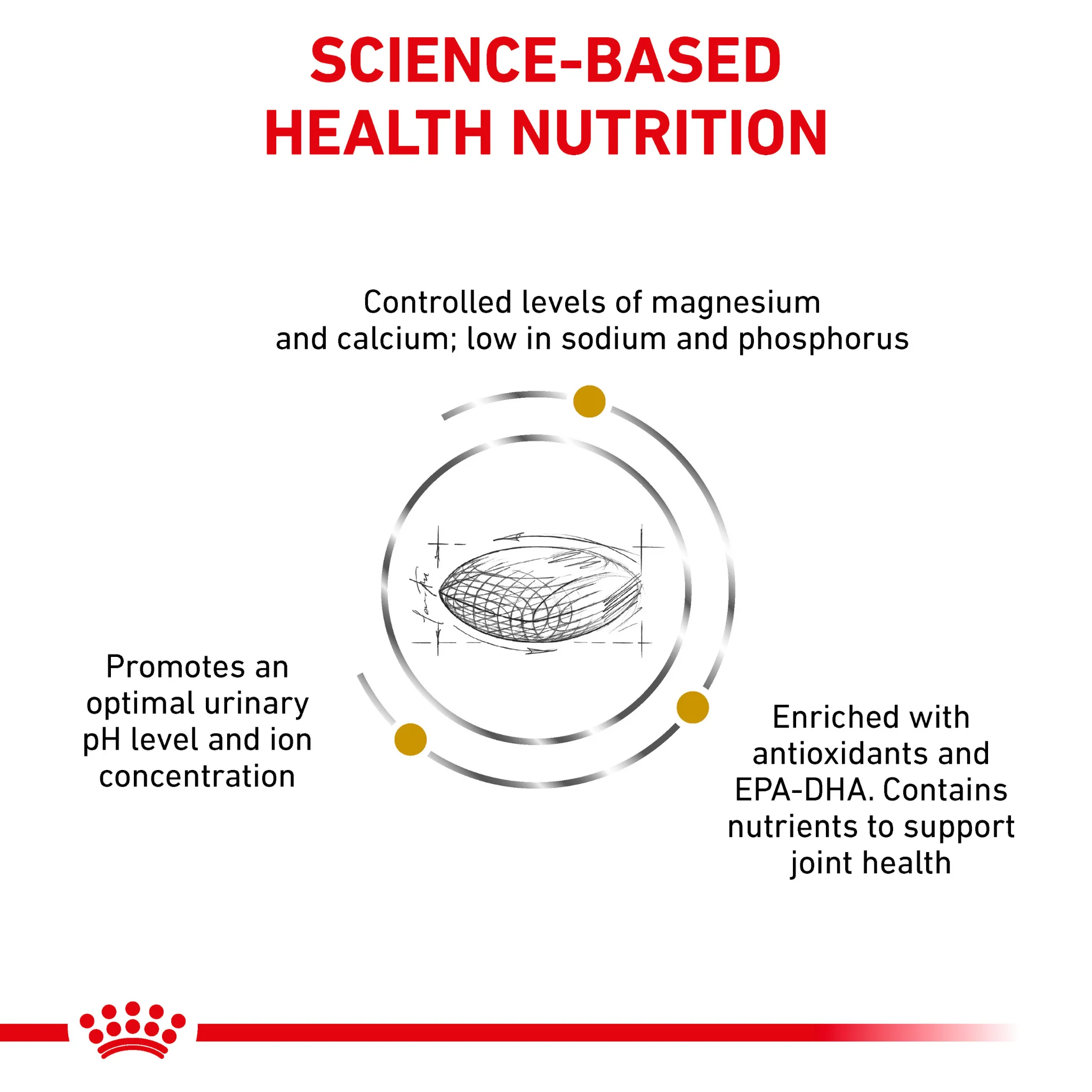 ROYAL CANIN® Canine Urinary S/O Ageing 7+ Dry Dog Food - Image 4