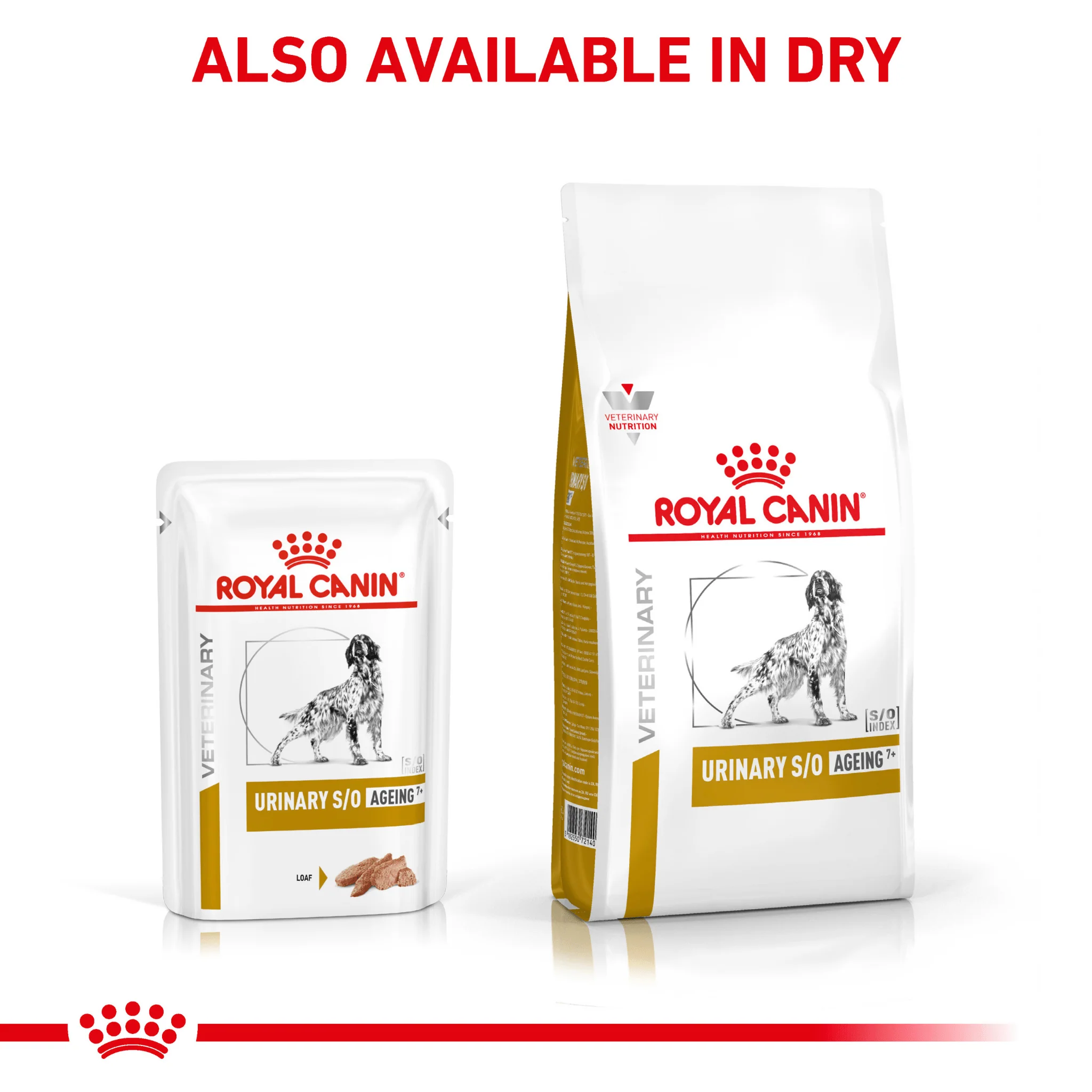 ROYAL CANIN® Canine Urinary S/O Ageing 7+ Loaf Wet Dog Food - Image 7