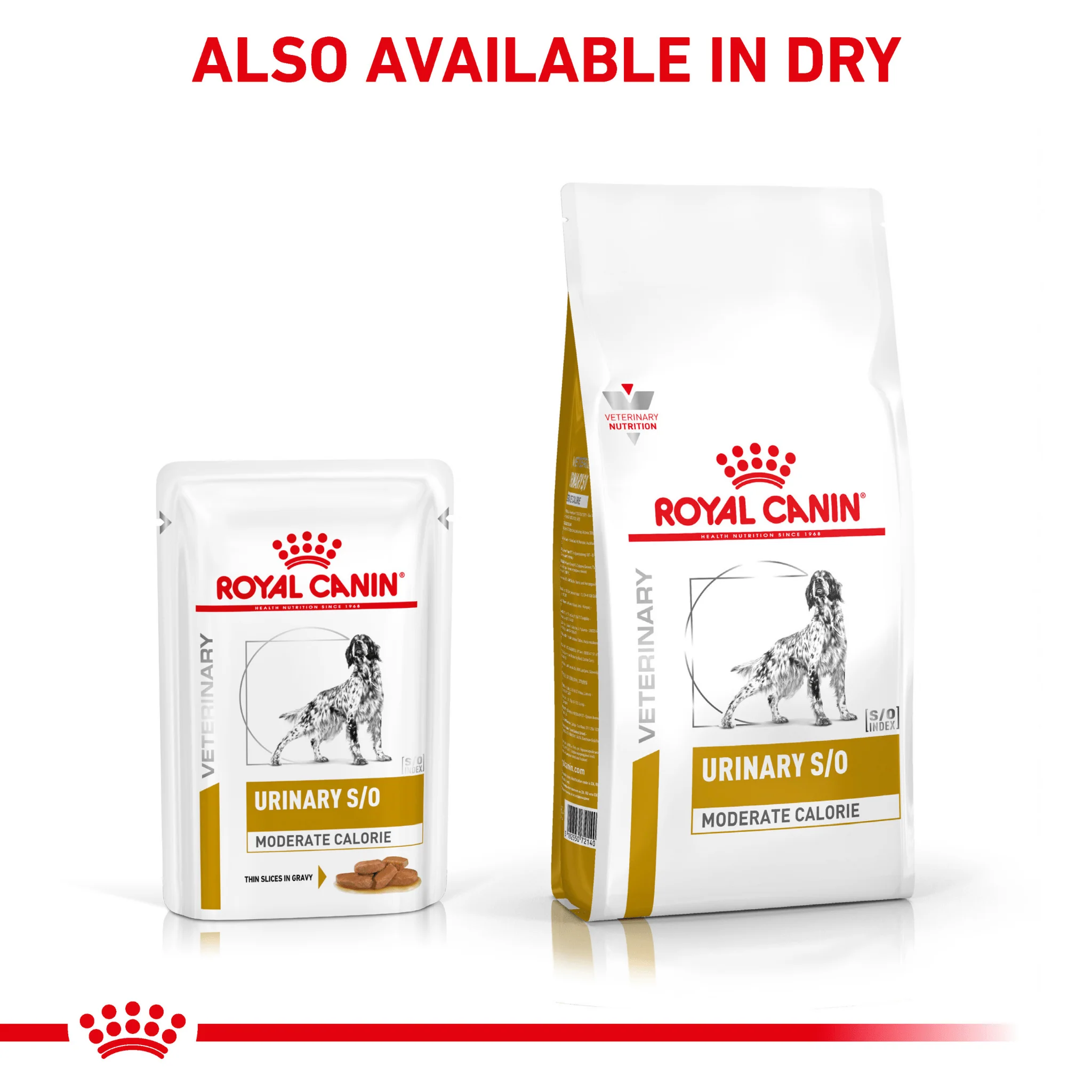 ROYAL CANIN® Canine Urinary S/O Moderate Calorie Thin Slices in Gravy Adult Wet Dog Food - Image 6