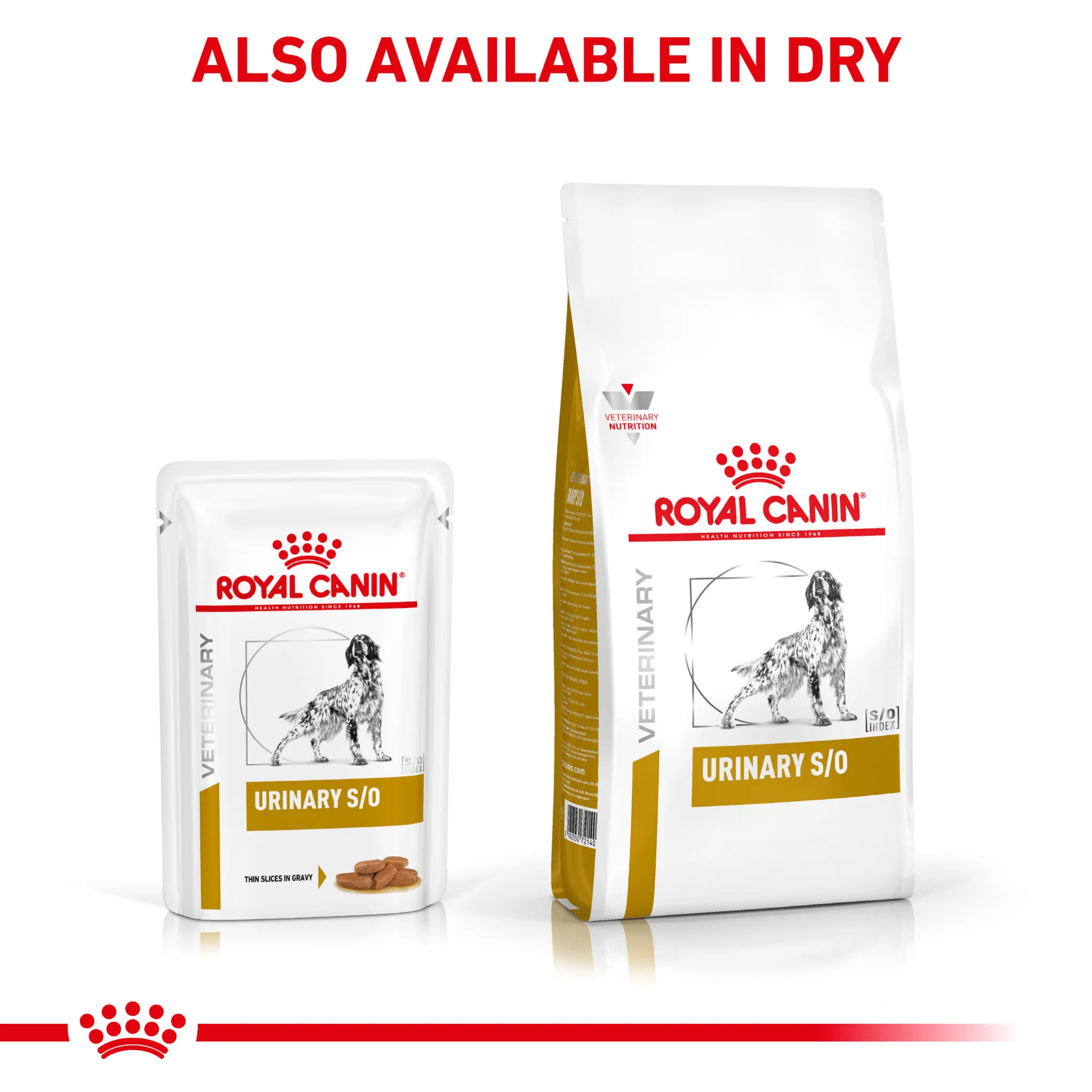 ROYAL CANIN® Canine Urinary S/O Thin Slices in Gravy Adult Wet Dog Food - Image 7