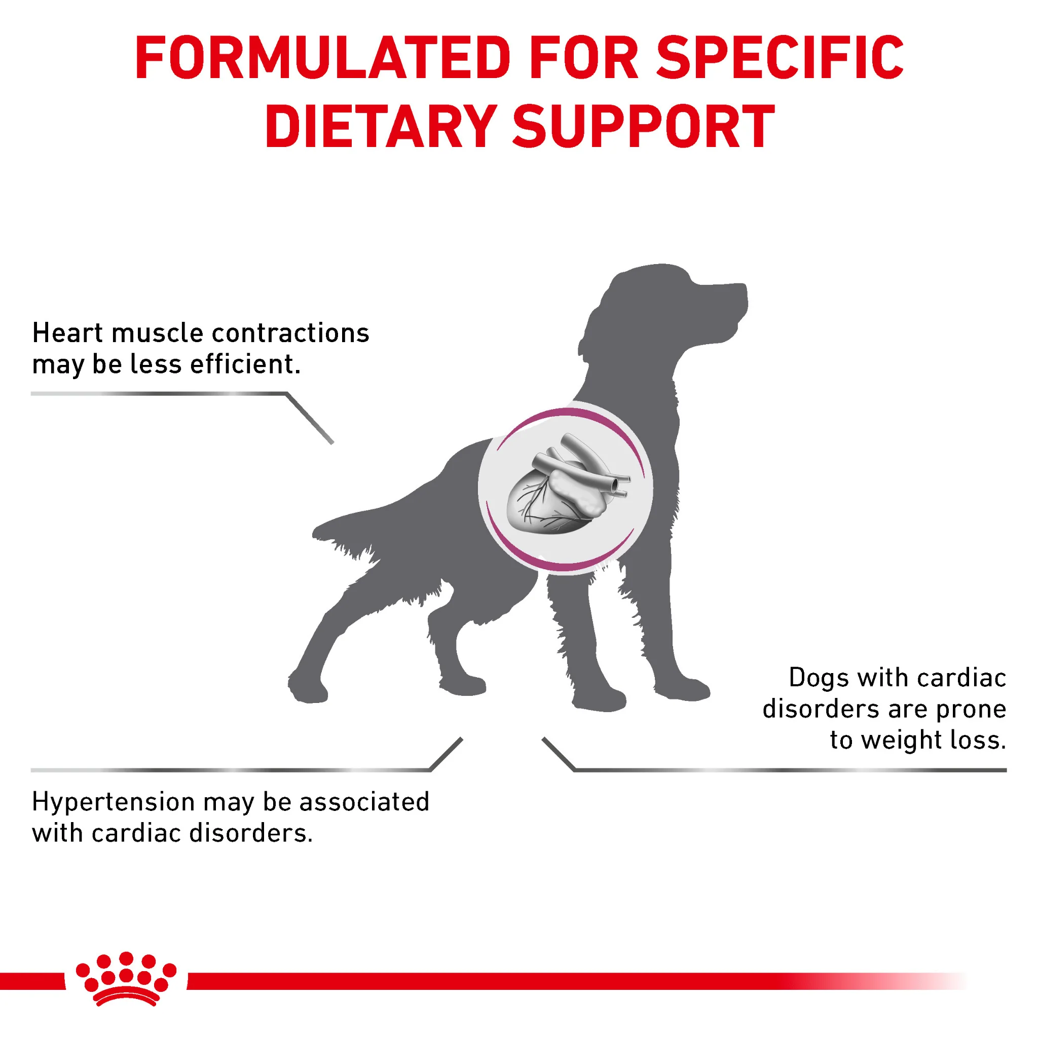 ROYAL CANIN® Cardiac Adult Dry Dog Food - Image 8