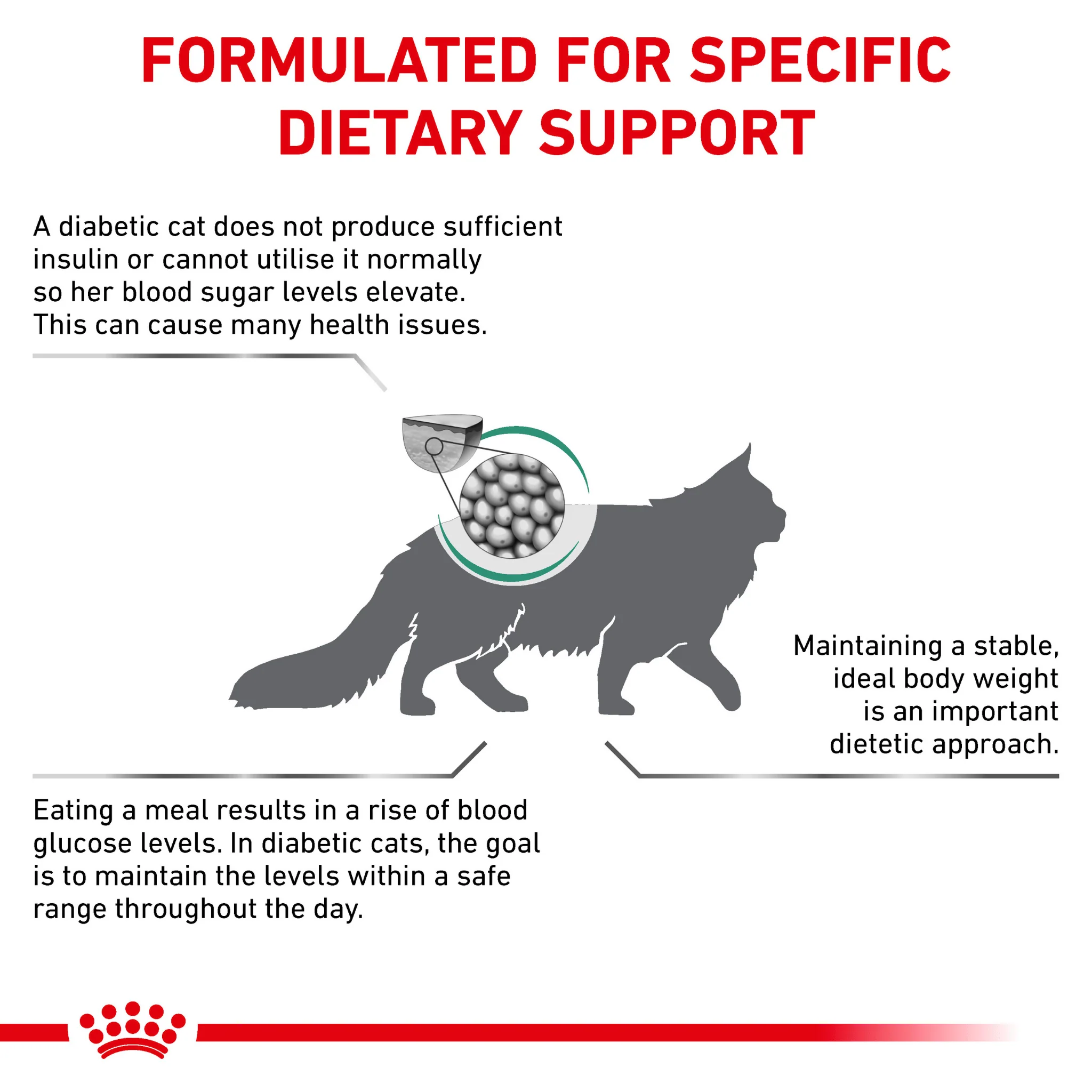 ROYAL CANIN® Diabetic Adult Dry Cat Food - Image 3