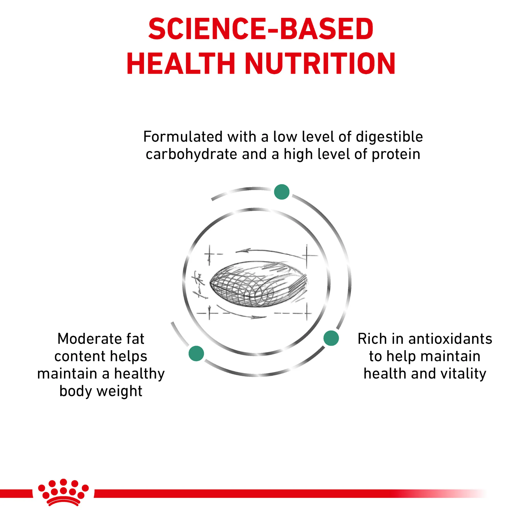 ROYAL CANIN® Diabetic Adult Dry Cat Food - Image 4