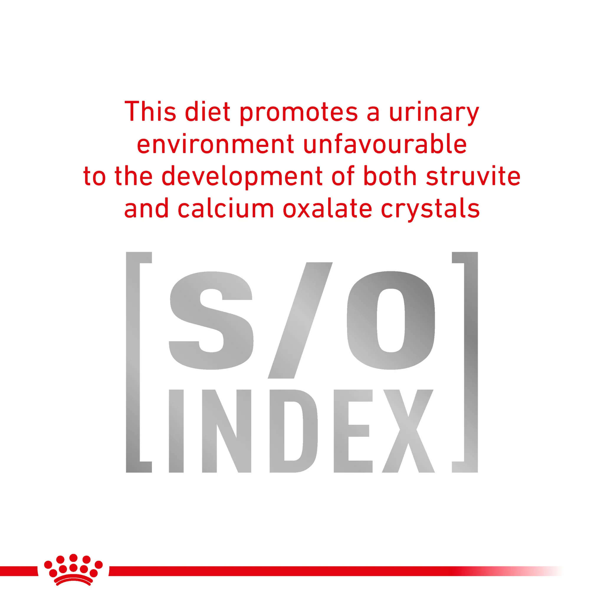 ROYAL CANIN® Diabetic Adult Dry Cat Food - Image 6