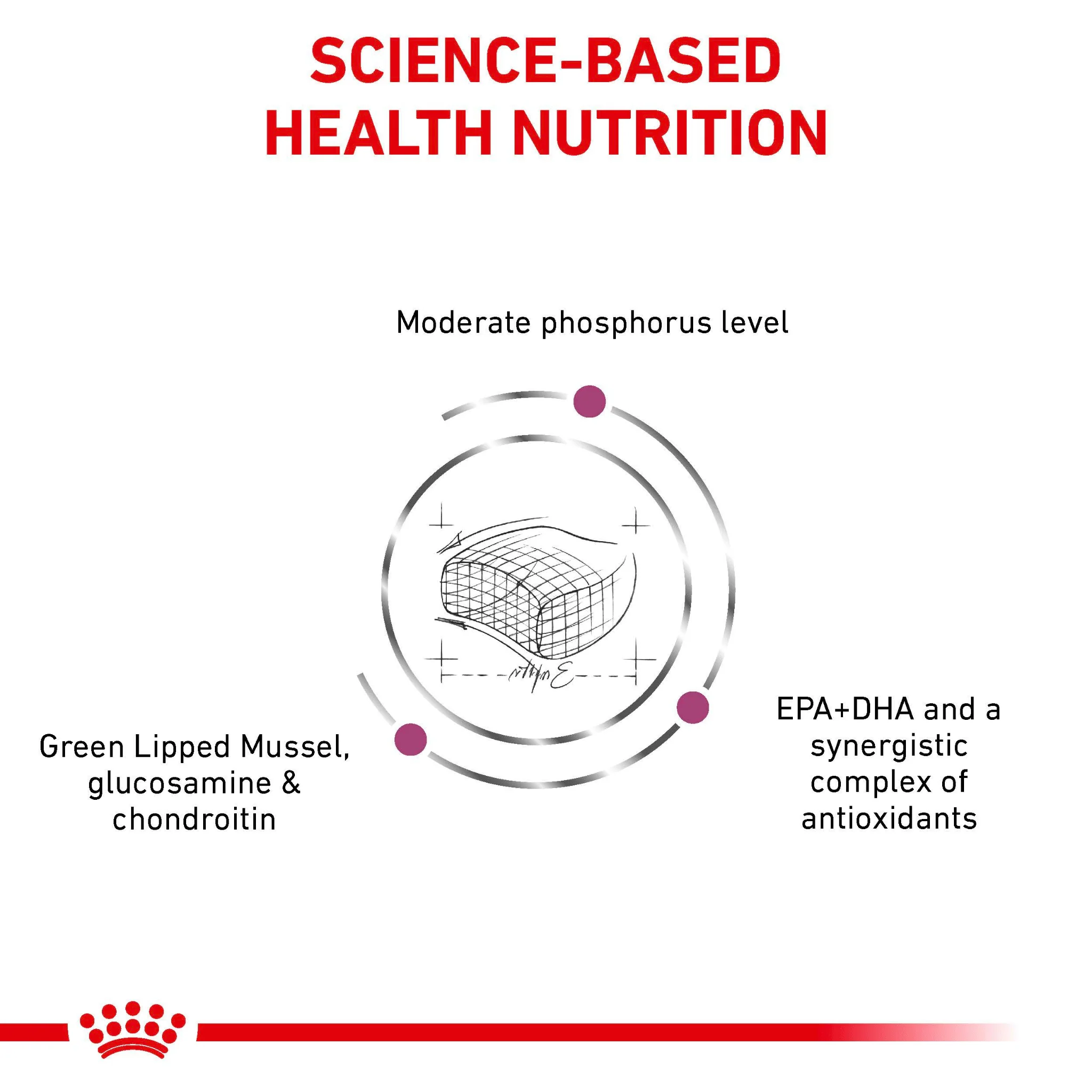 ROYAL CANIN® Early Renal Adult Dry Cat Food - Image 4