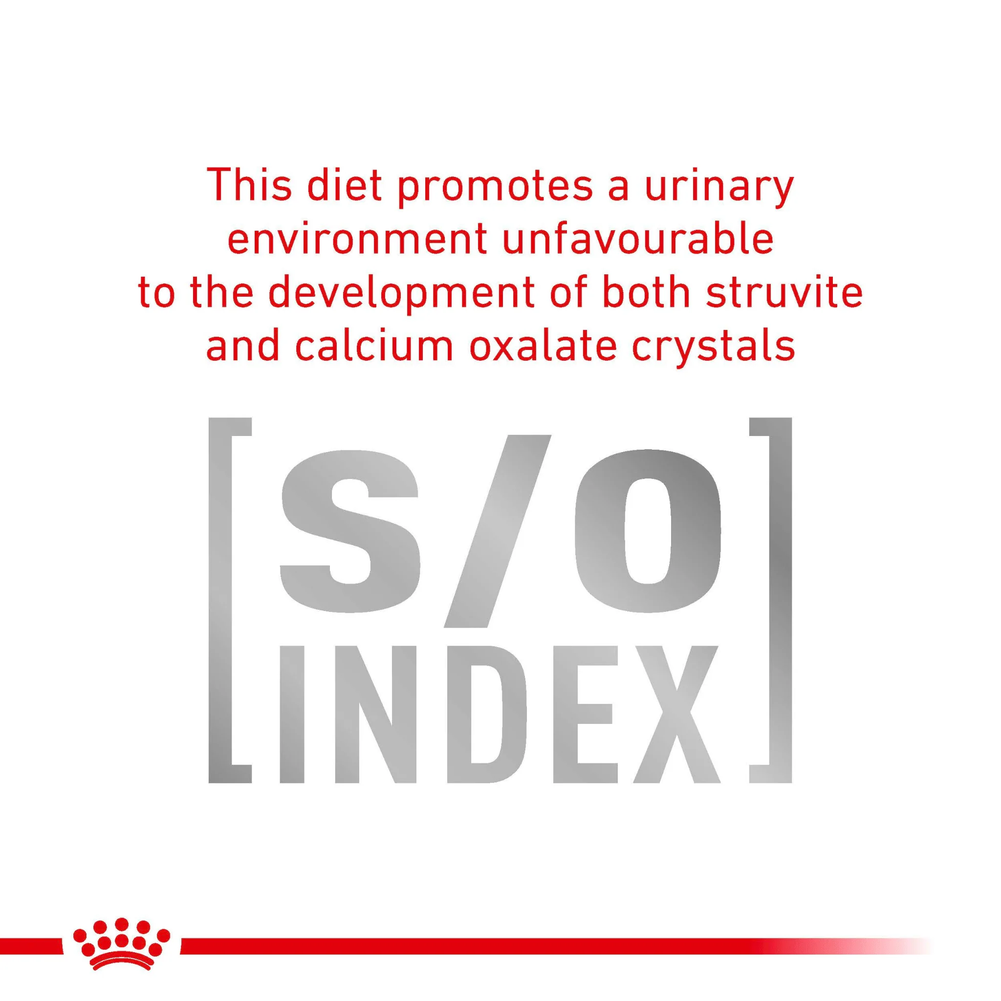 ROYAL CANIN® Early Renal Adult Dry Cat Food - Image 5
