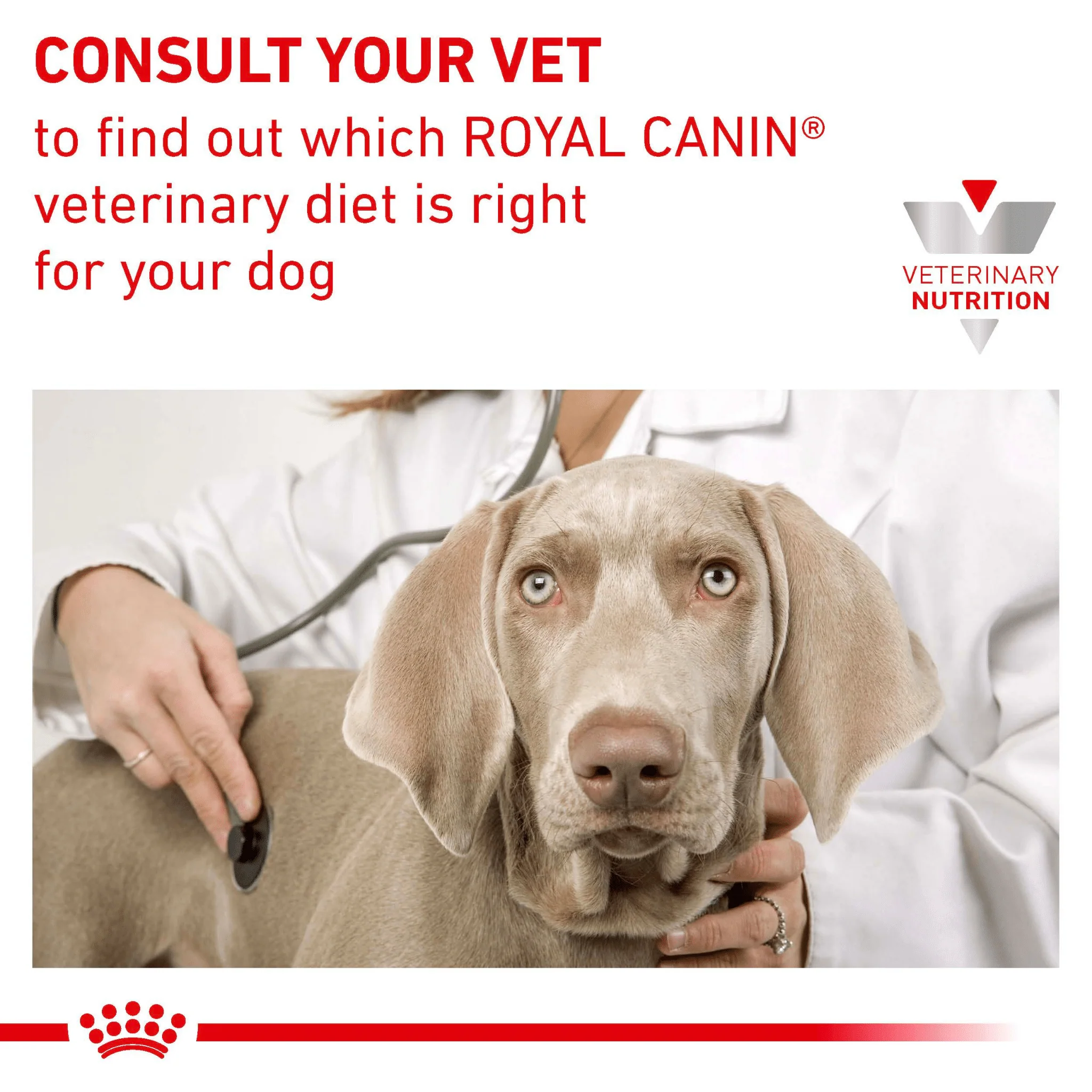 ROYAL CANIN® Early Renal Adult Dry Dog Food - Image 7