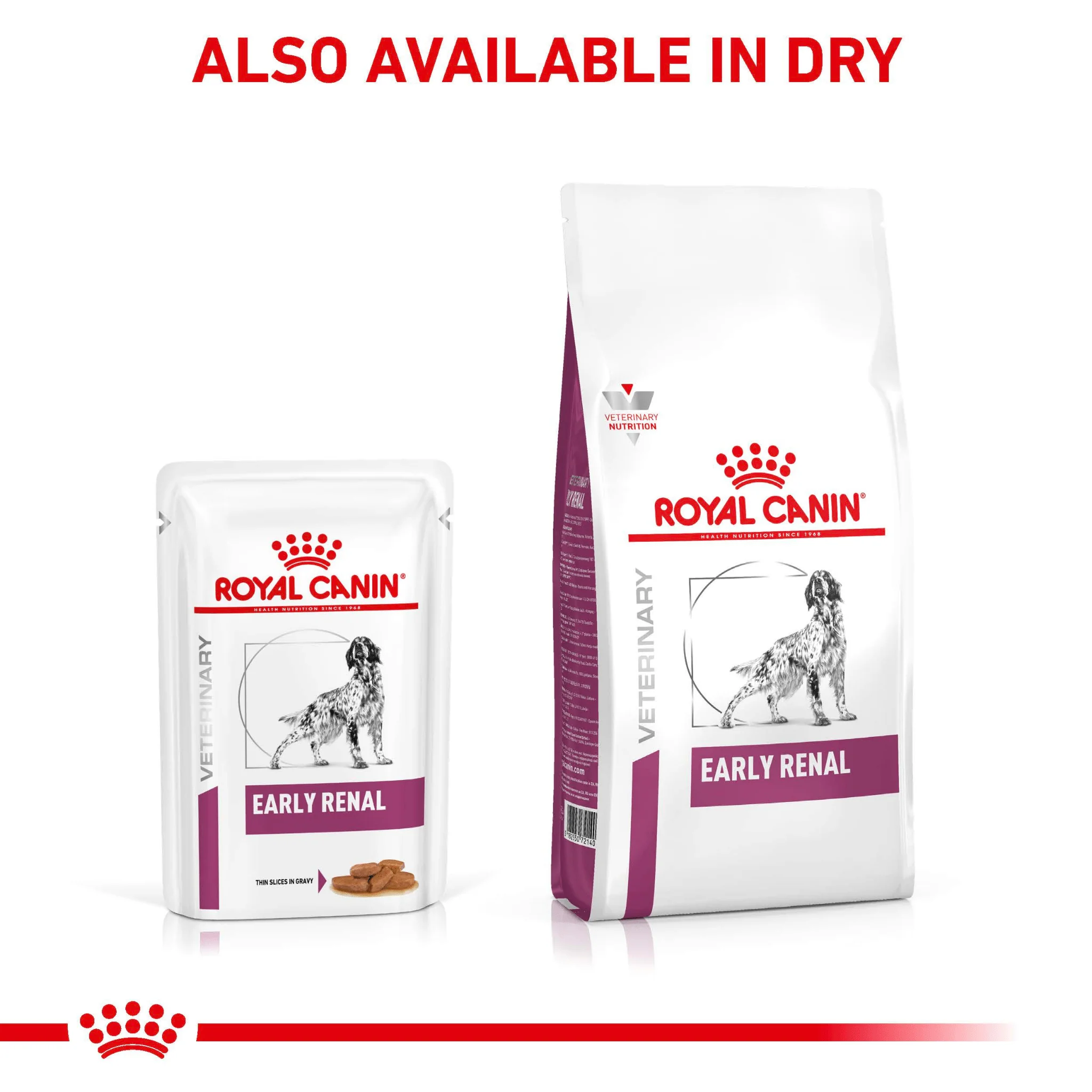 ROYAL CANIN® Early Renal Adult Wet Dog Food - Image 3