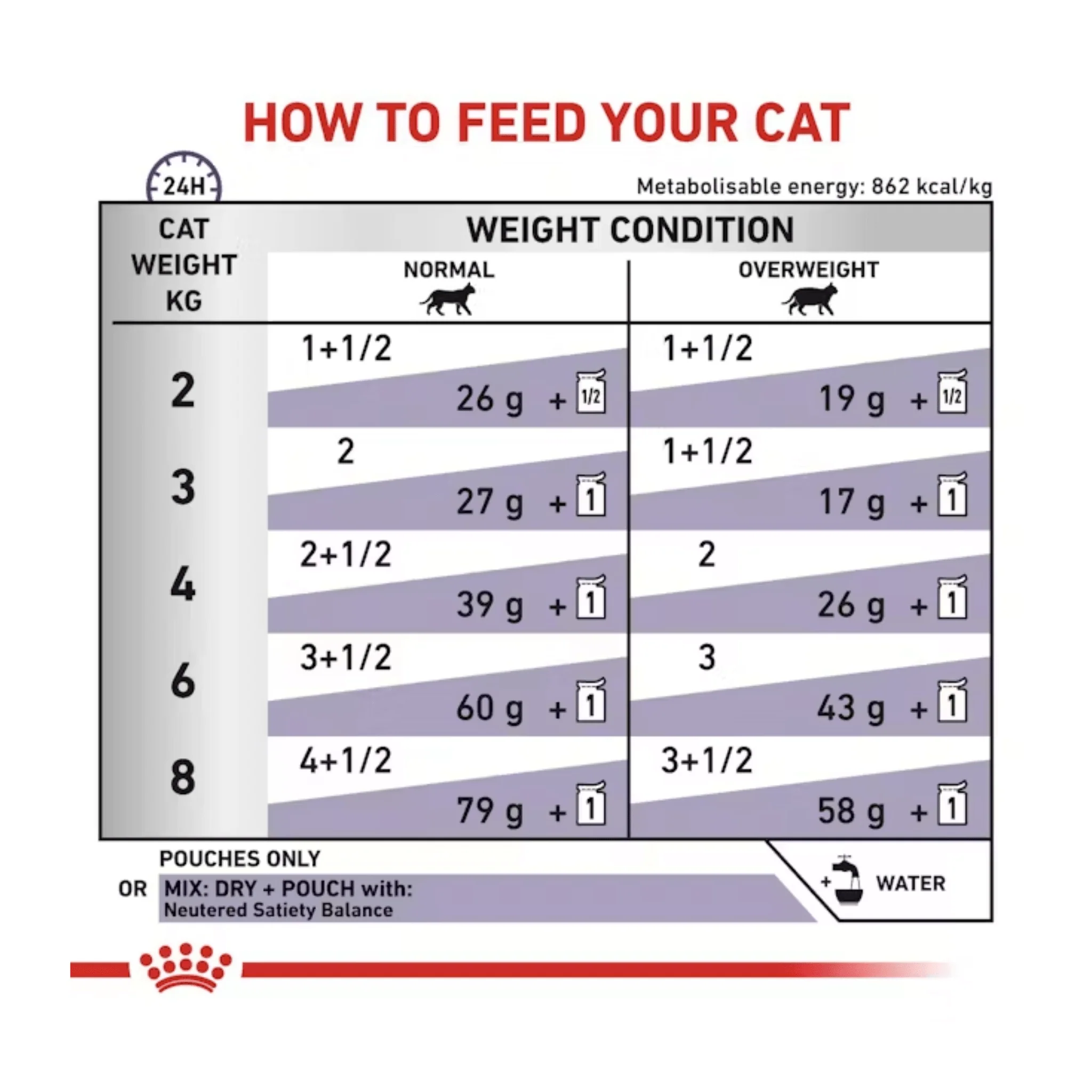 ROYAL CANIN® Feline Adult Neutered Maintenance Slices in Gravy 48x 85g - Image 3