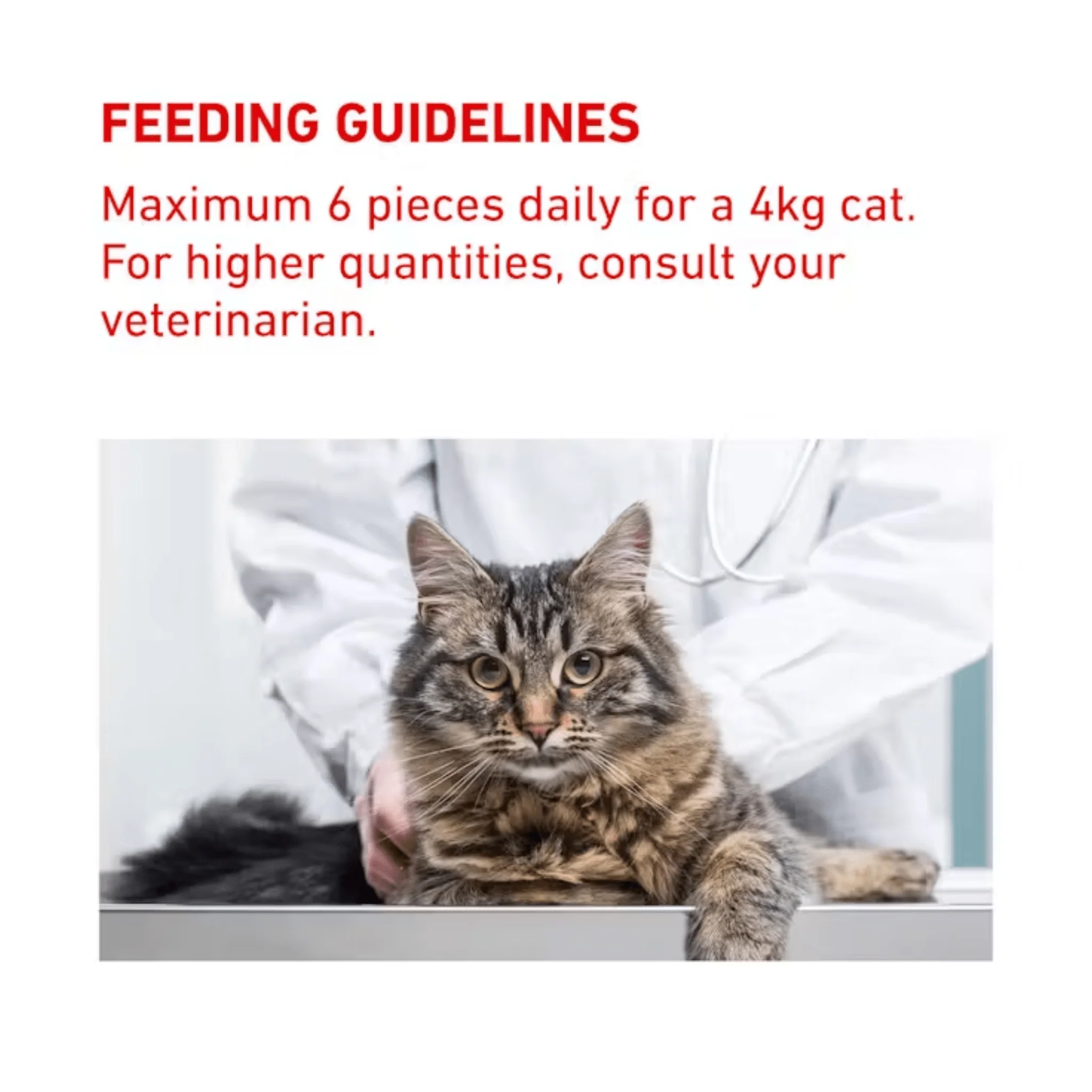 ROYAL CANIN® Feline Pill Assist 6x 45g - Image 3