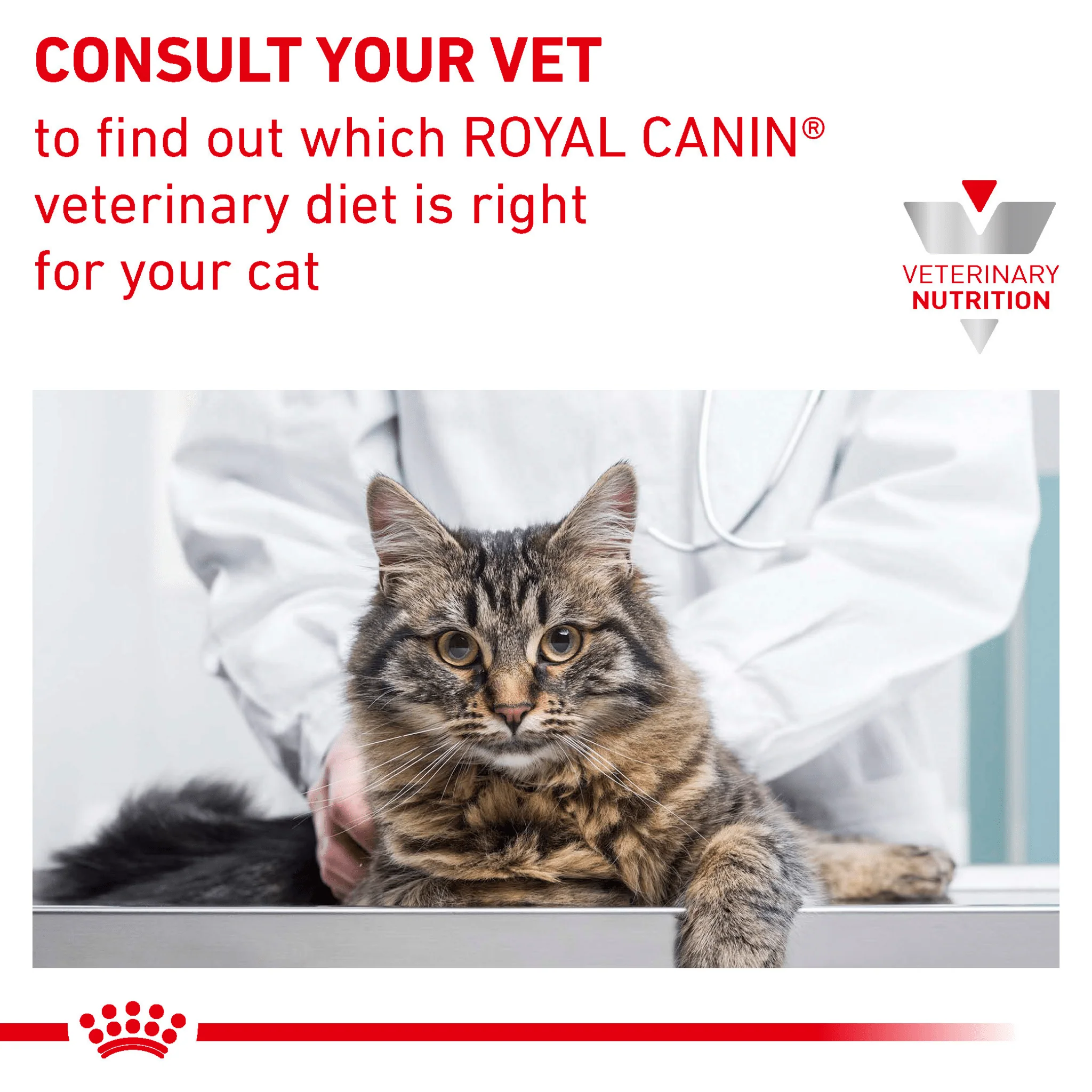 ROYAL CANIN® Feline Sensitivity Control Adult Dry Cat Food - Image 9