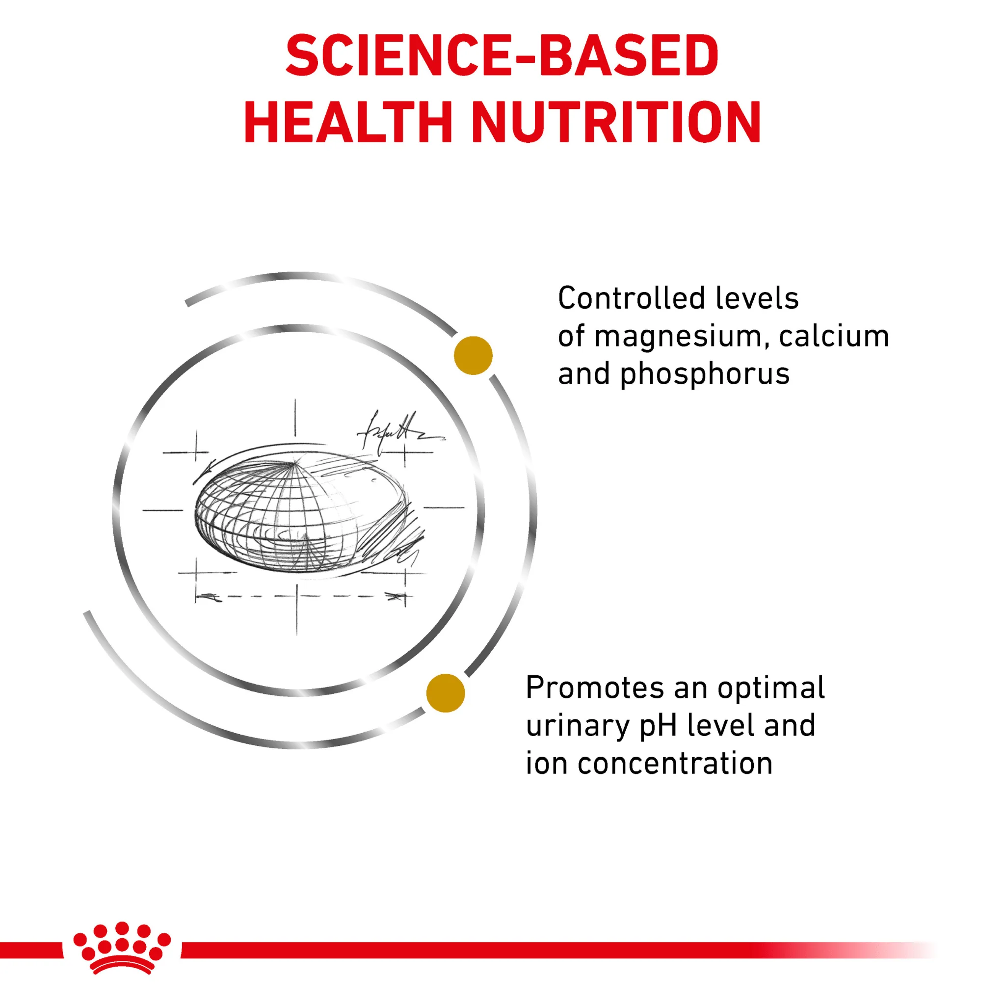 ROYAL CANIN® Feline Urinary S/O Adult Dry Cat Food - Image 3