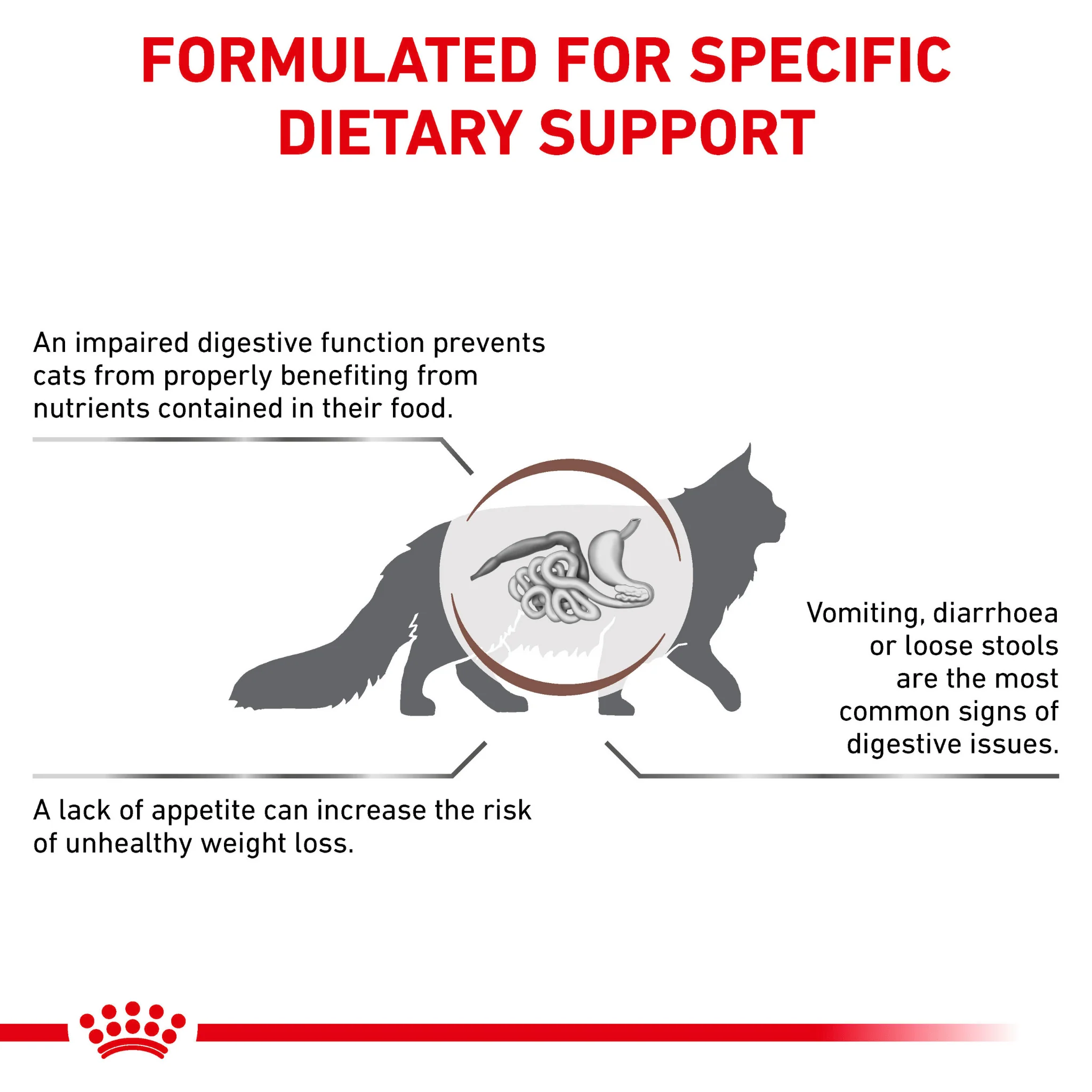 ROYAL CANIN® Gastrointestinal Adult Dry Cat Food - Image 3