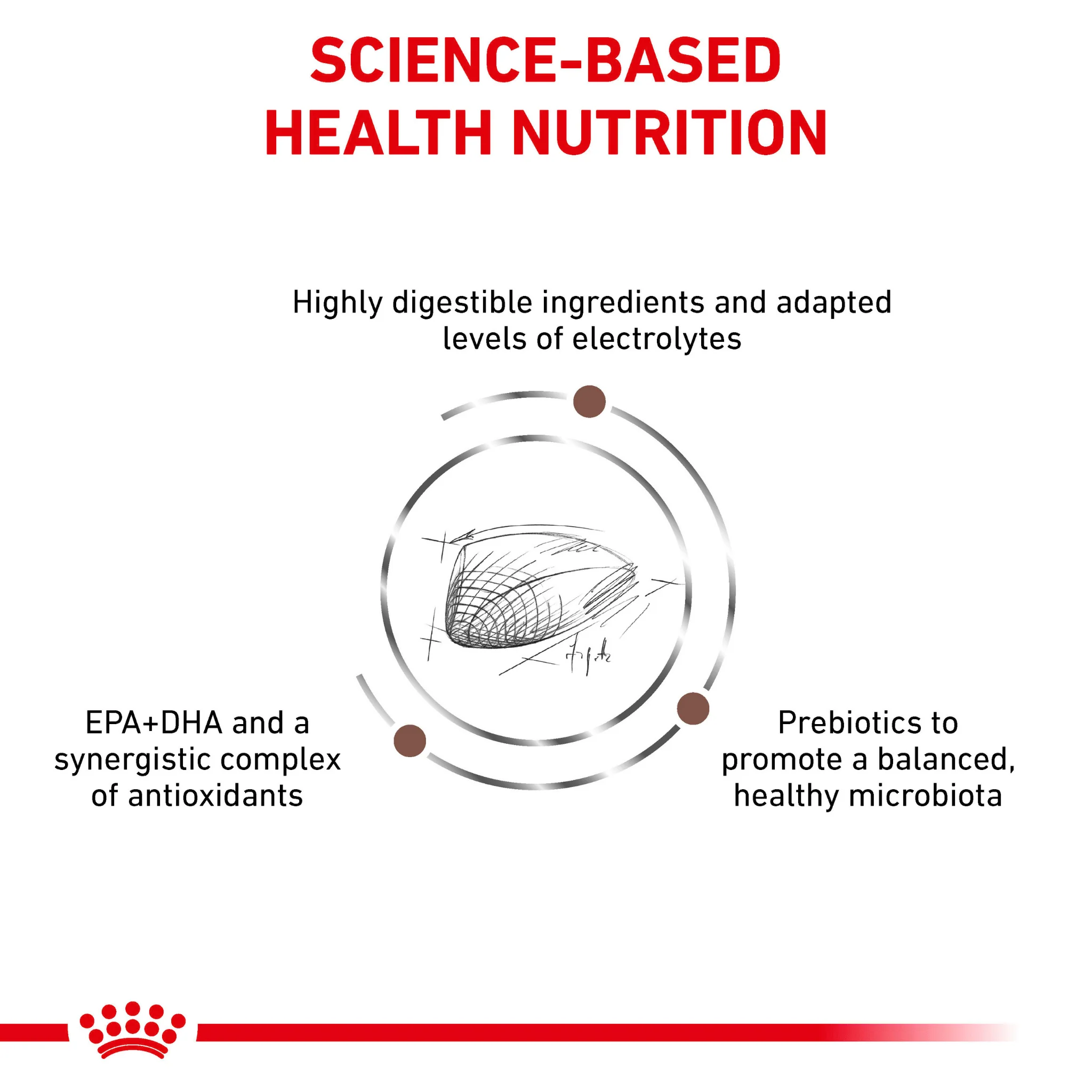 ROYAL CANIN® Gastrointestinal Adult Dry Cat Food - Image 4