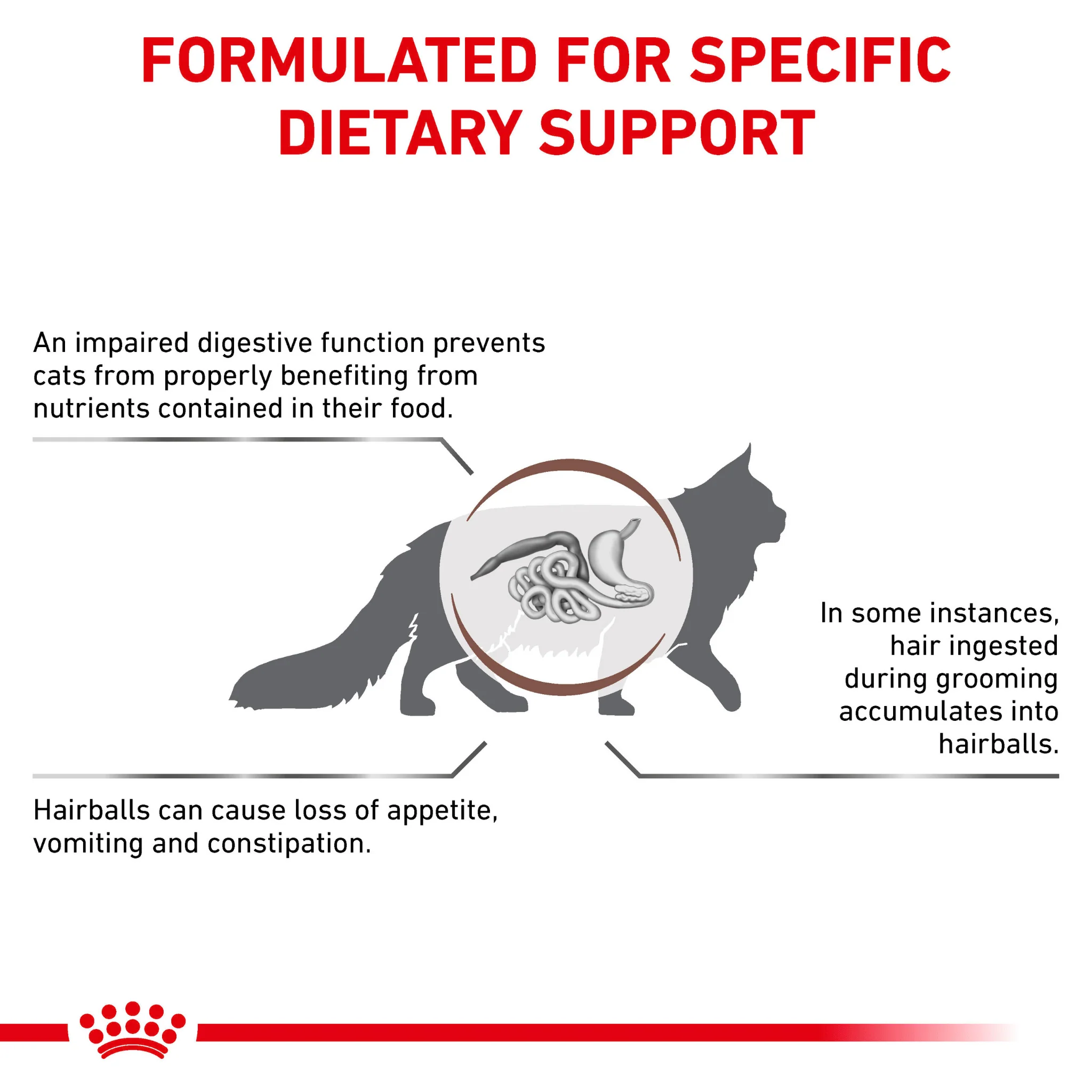 ROYAL CANIN® Gastrointestinal Hairball Adult Dry Cat Food - Image 3