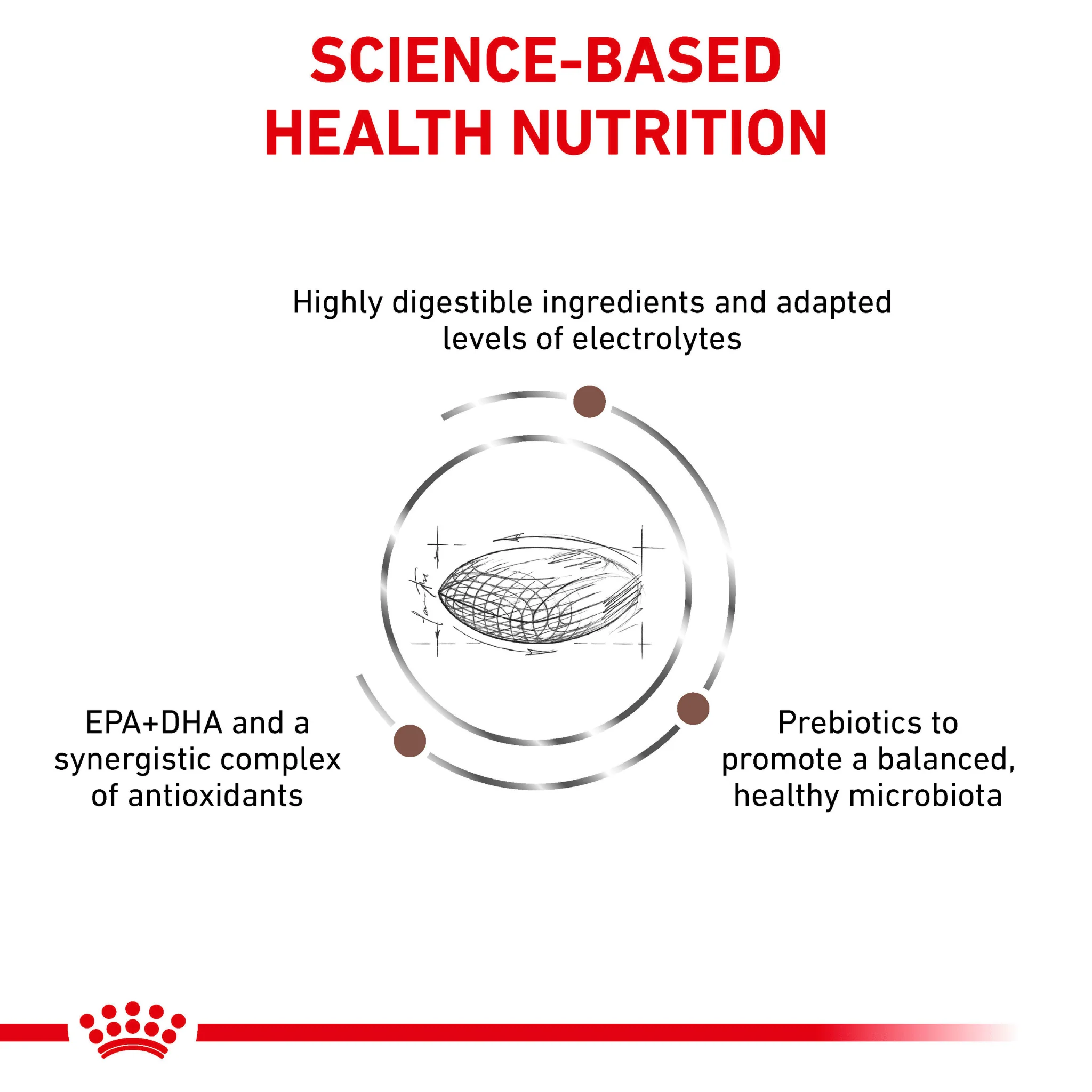 ROYAL CANIN® Gastrointestinal Hairball Adult Dry Cat Food - Image 4