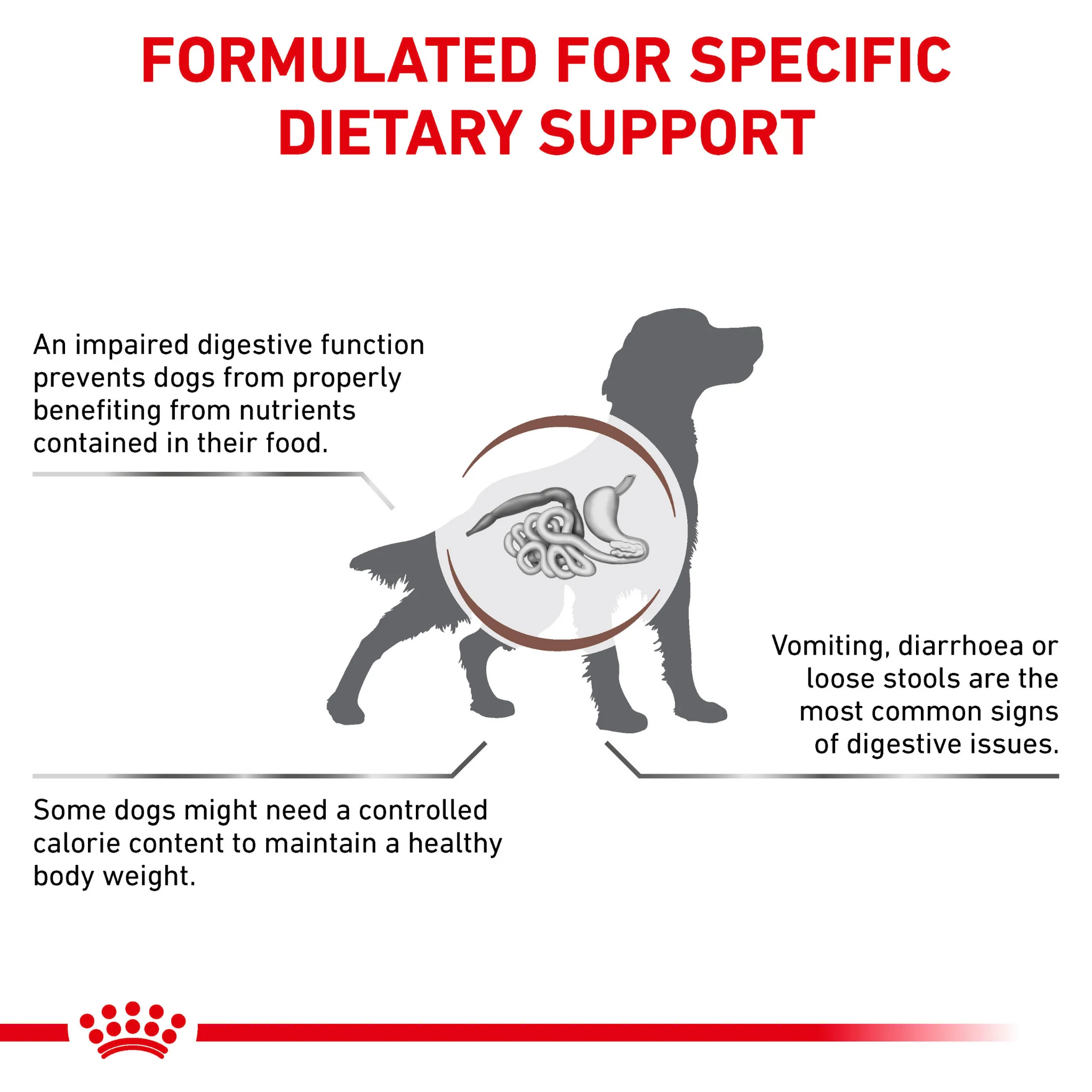 ROYAL CANIN® Gastrointestinal Moderate Calorie Adult Dry Dog Food - Image 3