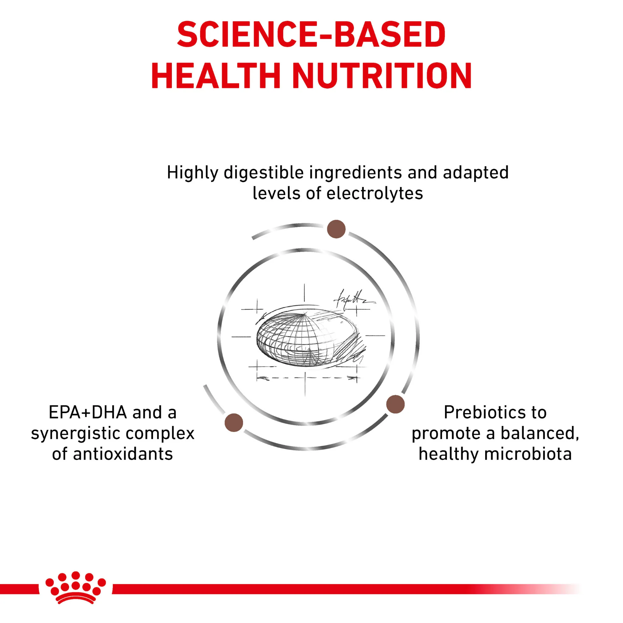 ROYAL CANIN® Gastrointestinal Moderate Calorie Adult Dry Dog Food - Image 5