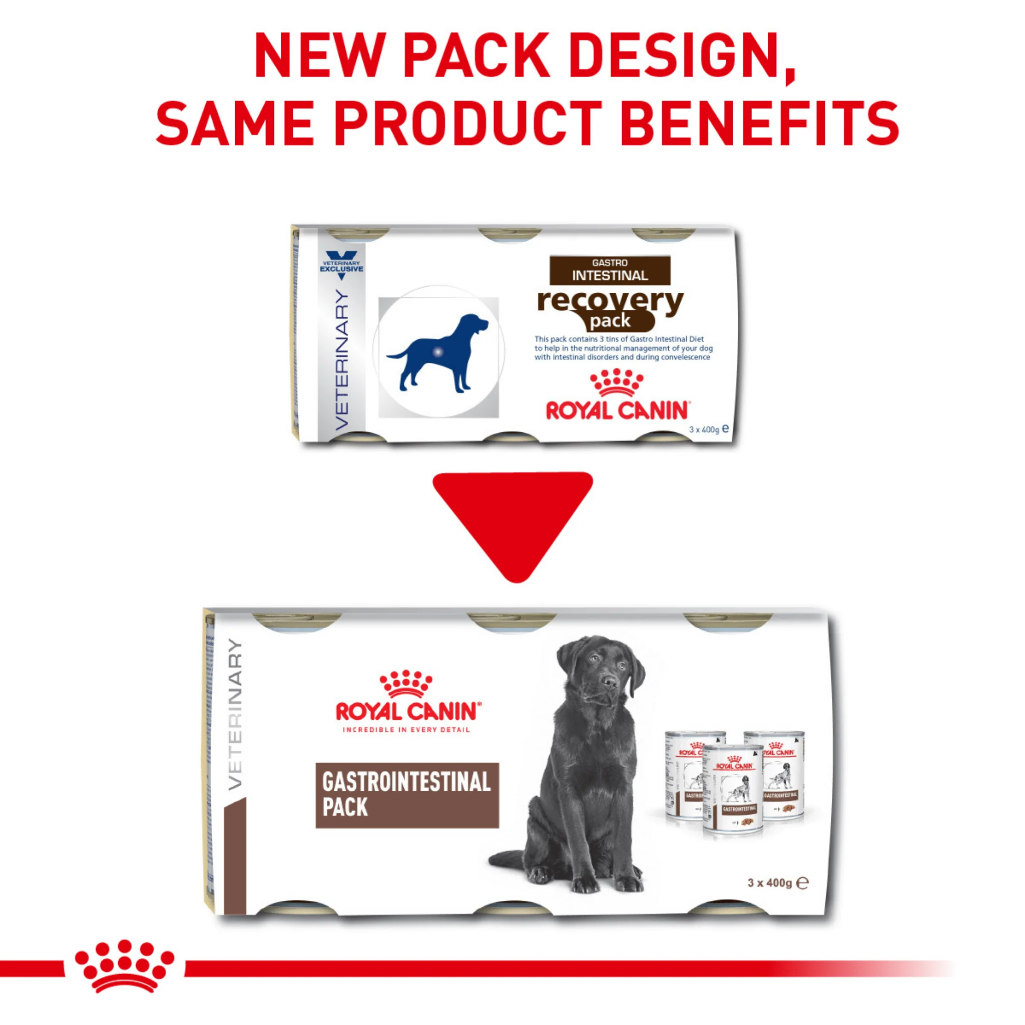 ROYAL CANIN® Gastrointestinal Pack Adult Wet Dog Food - 24 pack - Image 2