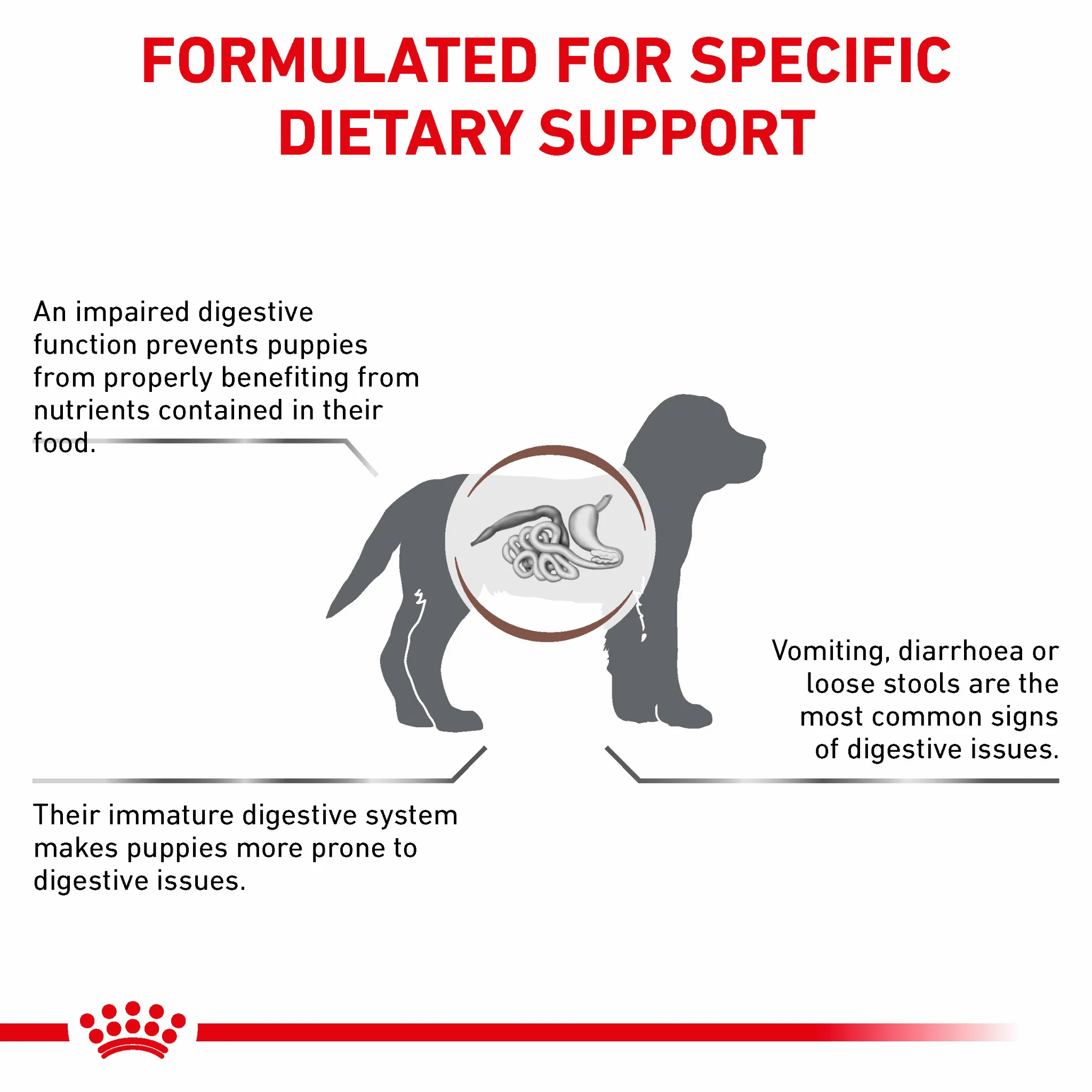 ROYAL CANIN® Gastrointestinal Puppy Dry Dog Food - Image 3