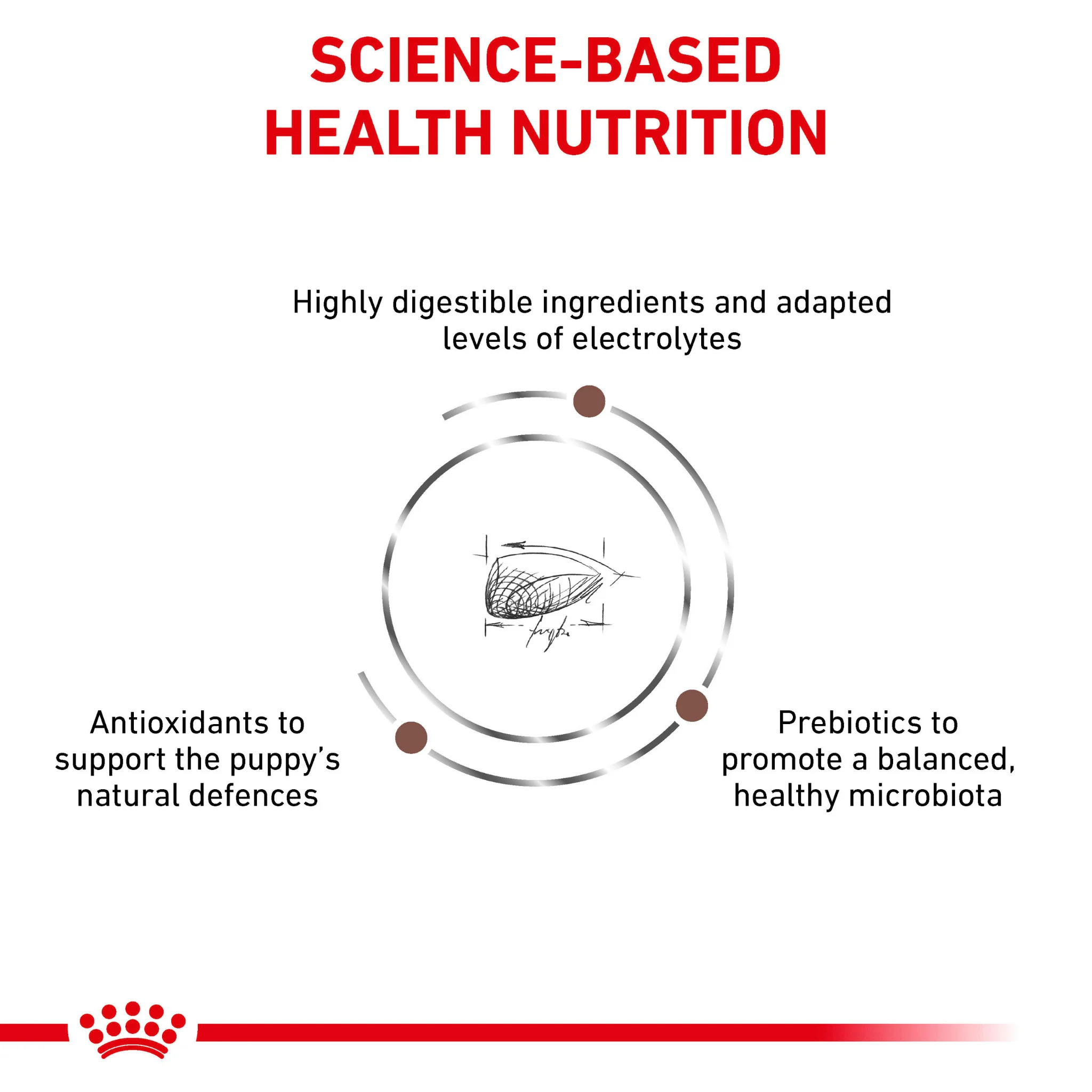 ROYAL CANIN® Gastrointestinal Puppy Dry Dog Food - Image 5