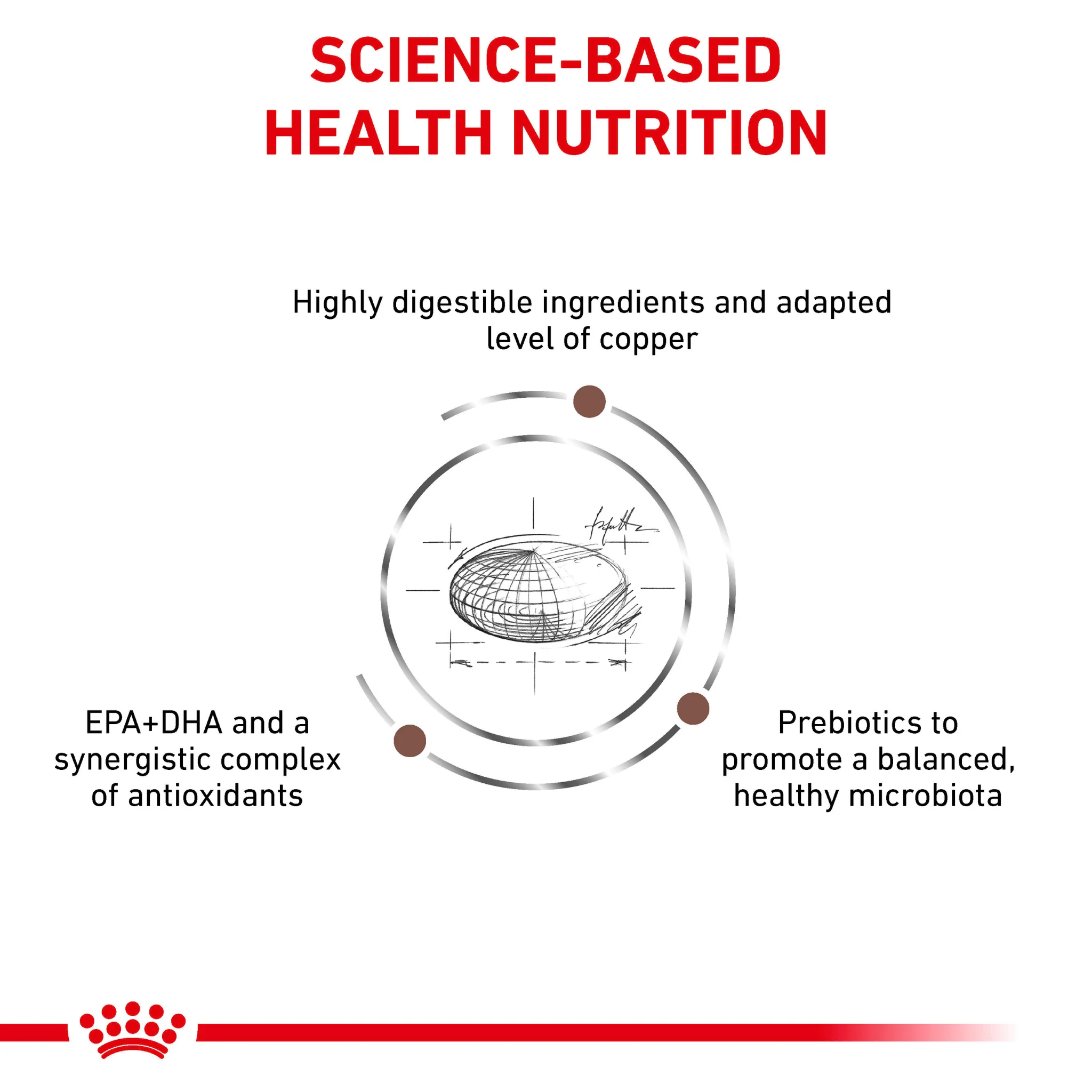ROYAL CANIN® Hepatic Adult Dry Cat Food - Image 3