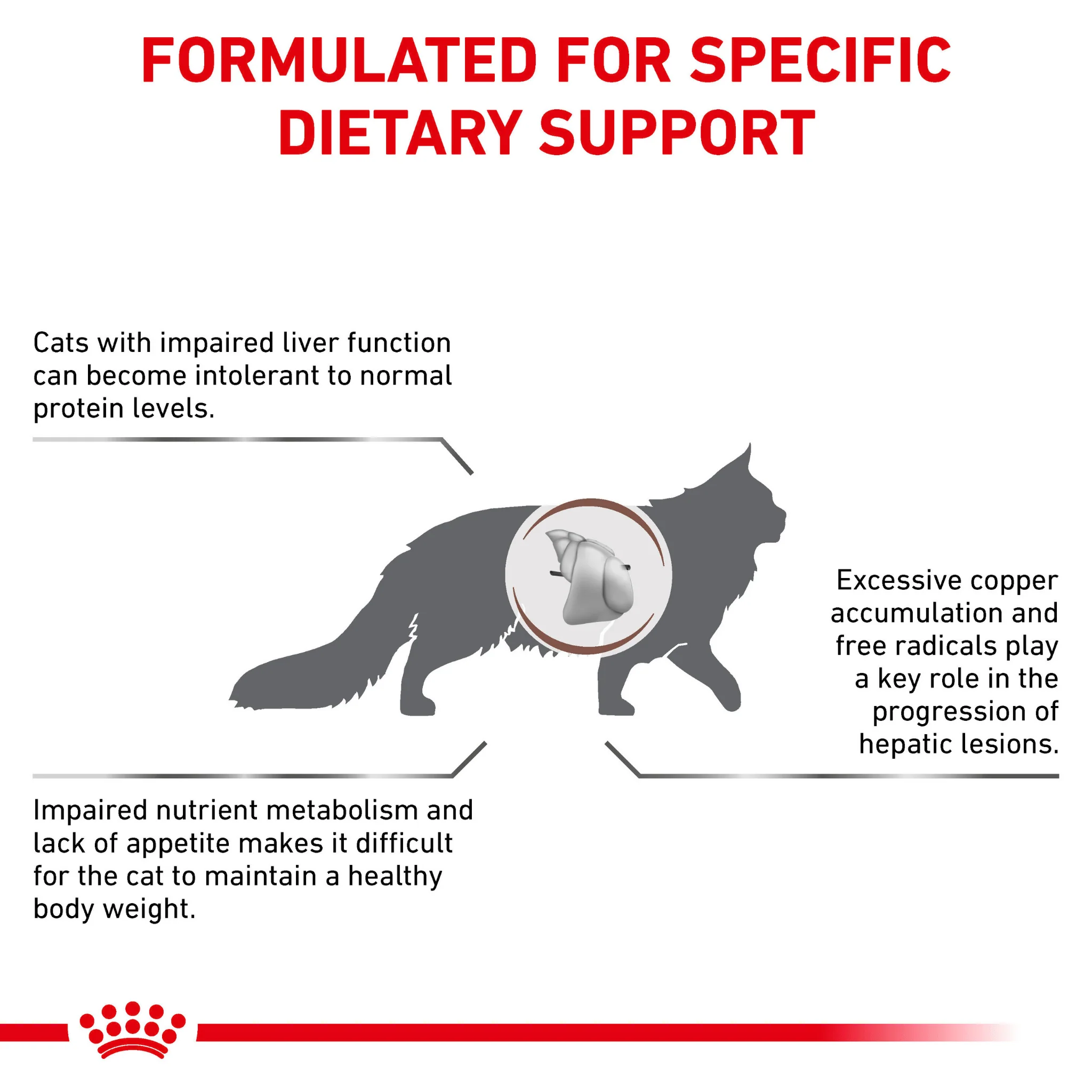 ROYAL CANIN® Hepatic Adult Dry Cat Food - Image 4