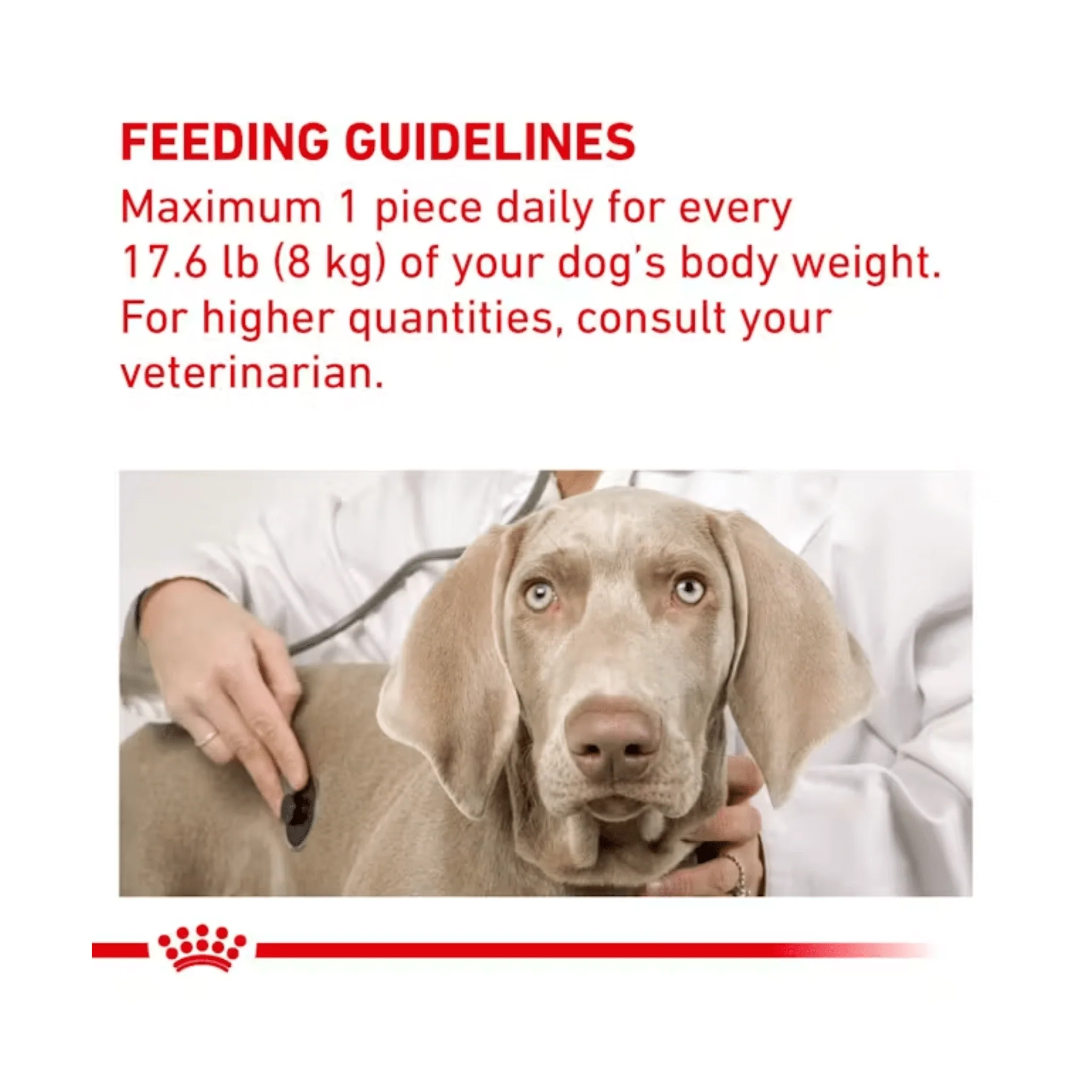 ROYAL CANIN® Medium/Large Dog Pill Assist 6x 224g - Image 3