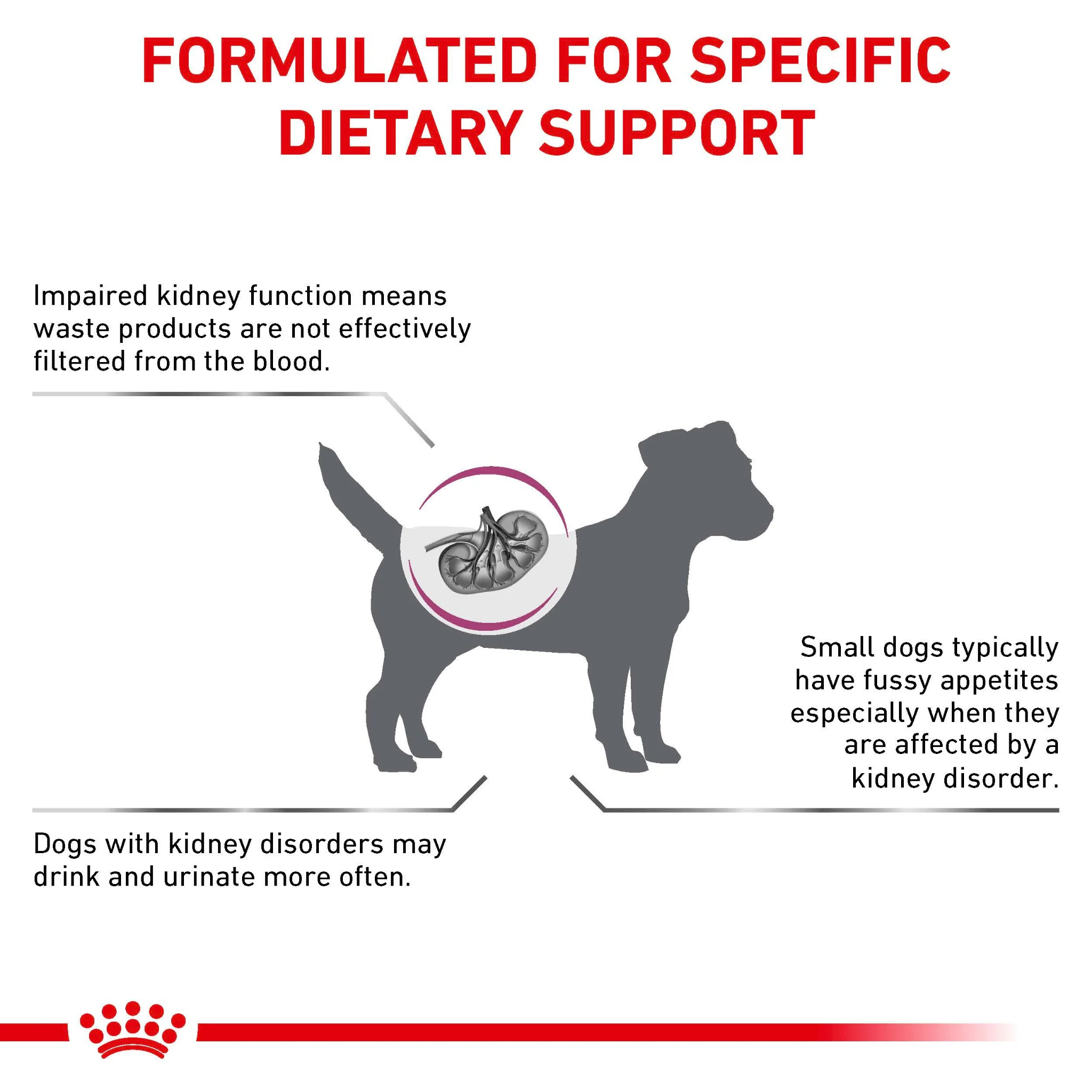 ROYAL CANIN® Renal Small Dogs Adult Dry Dog Food - Image 3