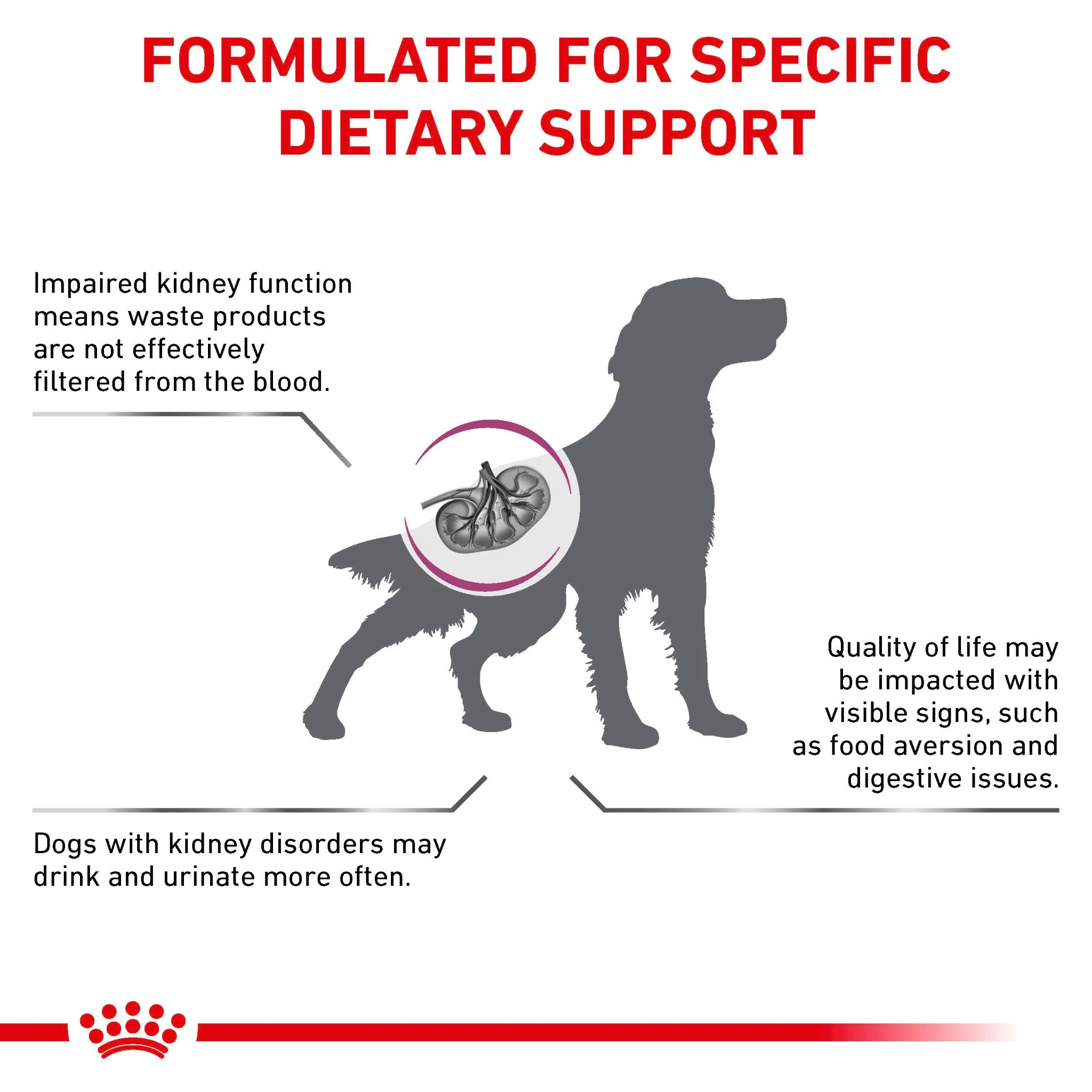 ROYAL CANIN® Renal Special Adult Dry Dog Food - Image 3