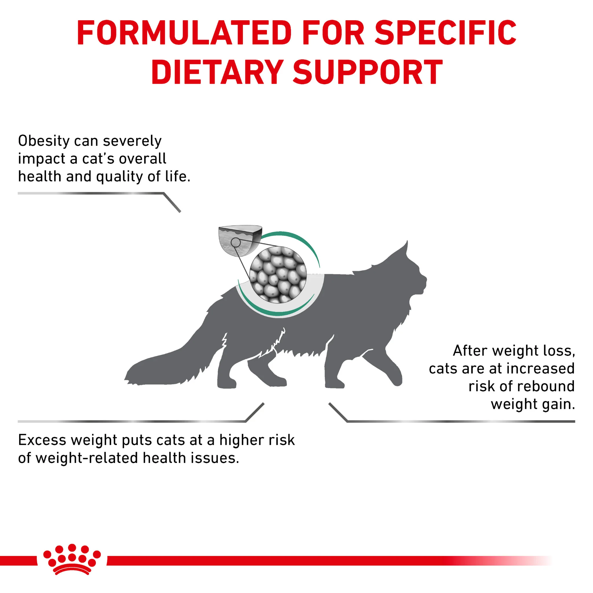 ROYAL CANIN® Satiety Adult Dry Cat Food - Image 3