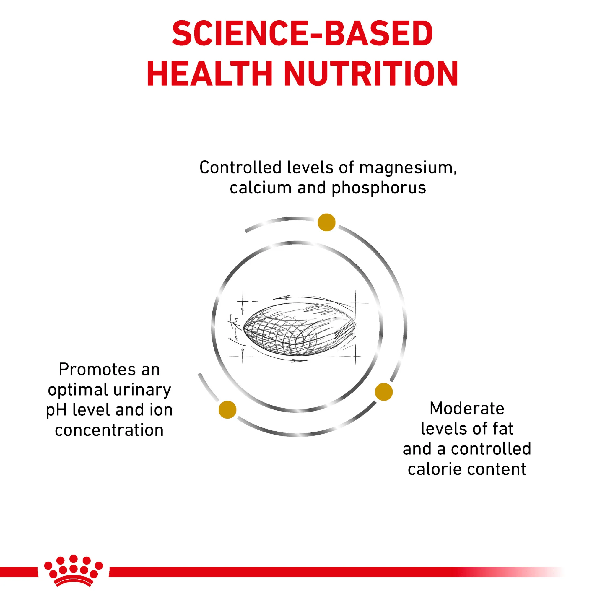 ROYAL CANIN® Urinary S/O Moderate Calorie Adult Dry Dog Food - Image 3