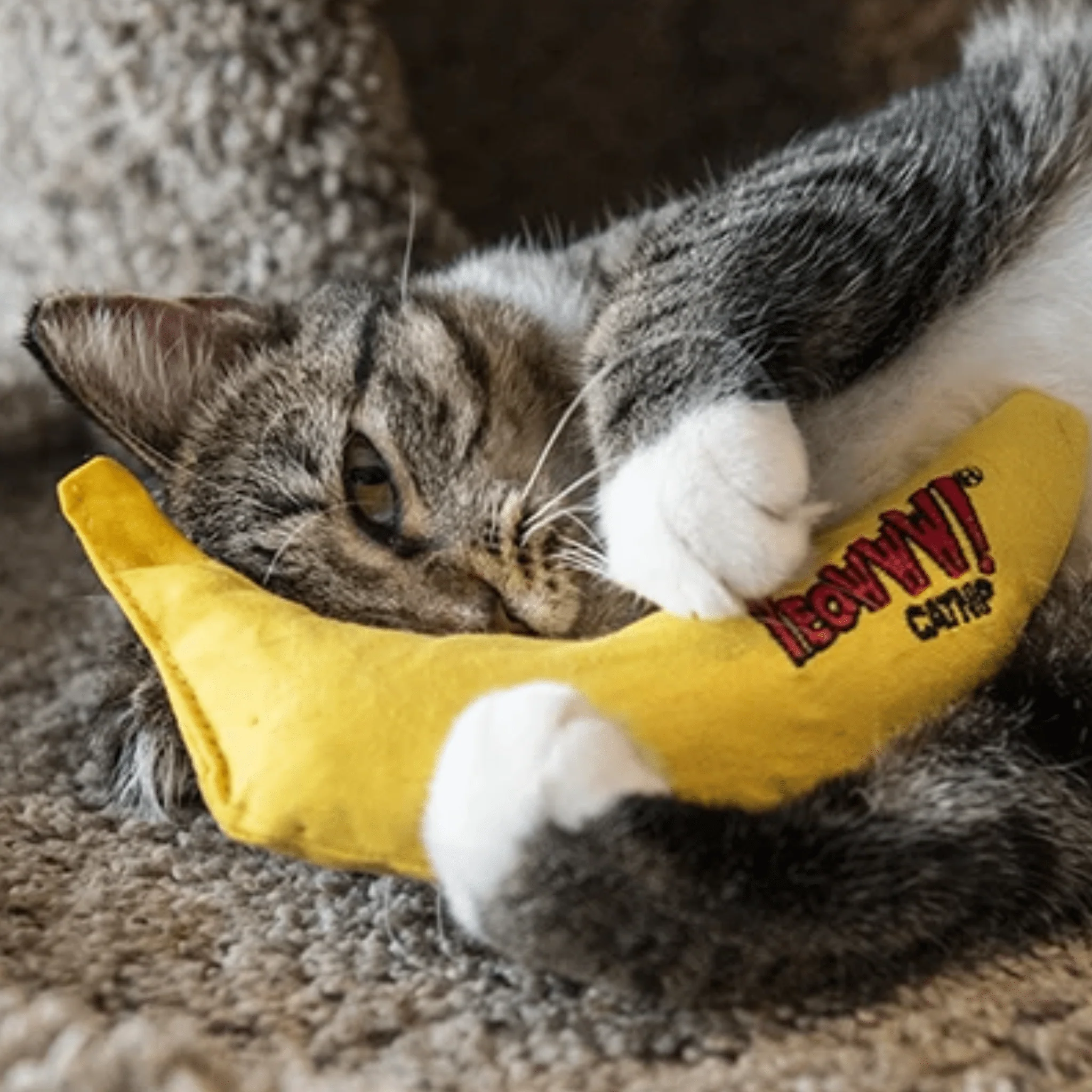 Yeowww! Banana Single - Image 3